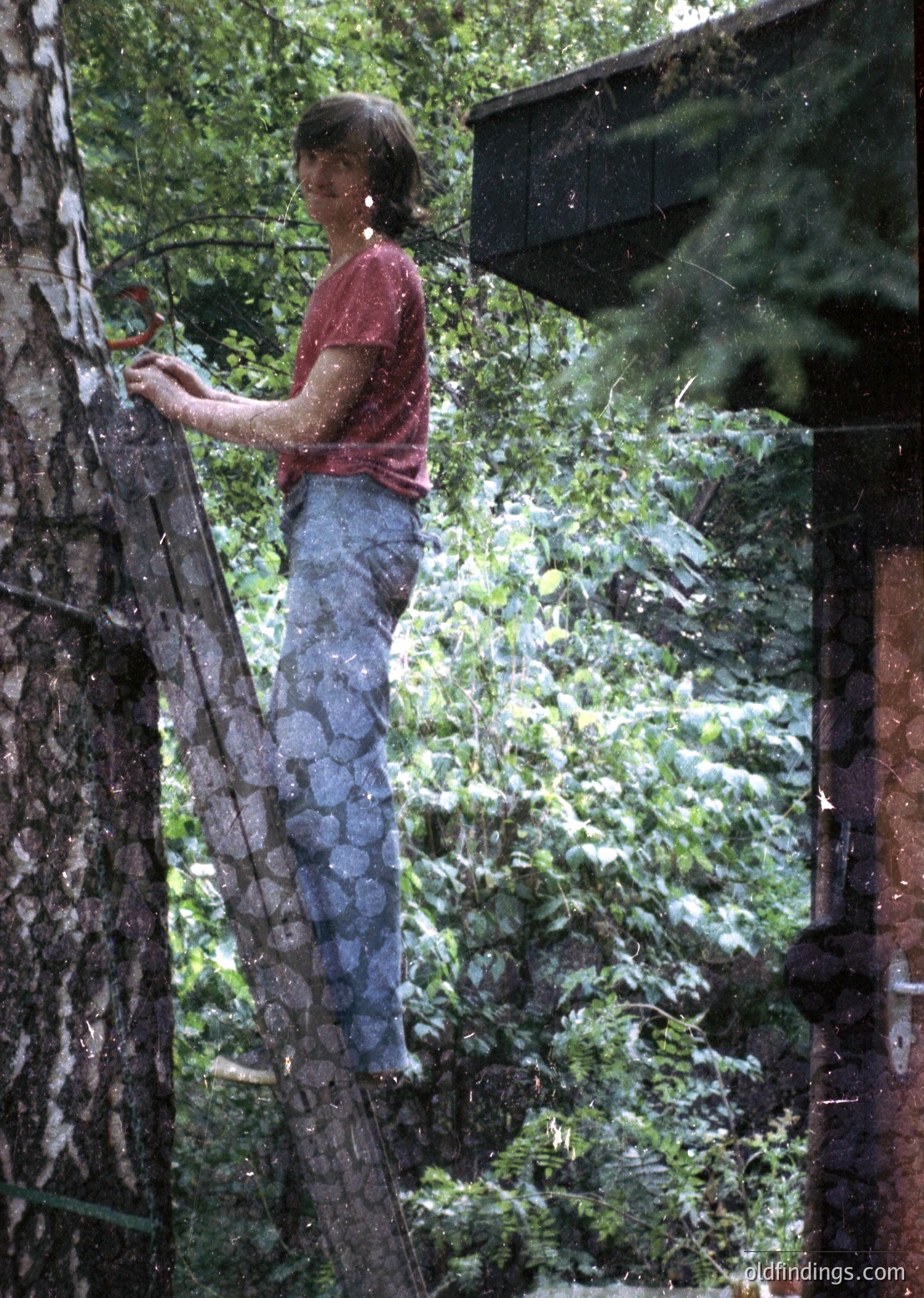 A person in a patterned, knee-length skirt and red top climbs a moss-covered wooden ladder in a lush, green forest. Reflections on wet glass suggest rain or mist. Mid-20th century outdoor activity, likely for maintenance or exploration.