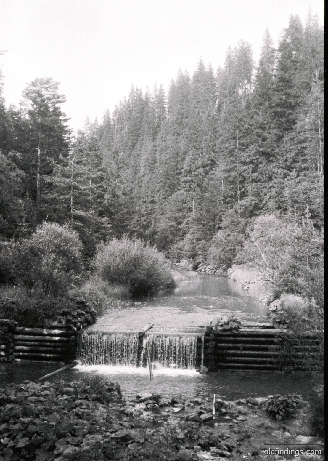 Dense forest framing a cascading waterfall over stone steps into a rocky stream, likely mid-20th century. Natural light enhances texture in foliage and water. Ideal for nature-inspired design or historical landscape studies.