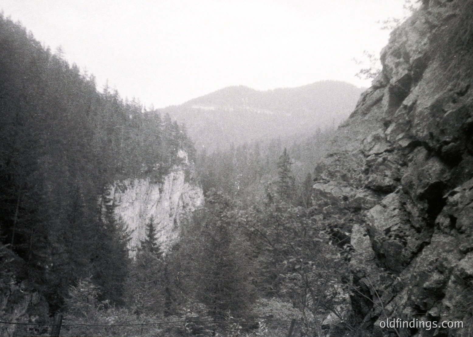 Misty mountain valley with rugged cliffs and dense coniferous forest, captured in early 20th-century sepia-toned photography. Dramatic rock formations frame the scene, likely part of the European Alps or Carpathians. Fog obscures distant peaks, enhancing the timeless atmosphere. Ideal for vintage travel or nature-inspired design references.