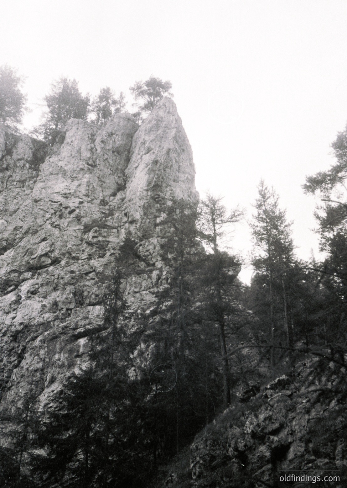 Towering limestone cliff with vertical rock face, partially covered by dense pine forest. Dramatic natural architecture contrasts with rugged terrain. Likely Eastern European alpine or karst region.