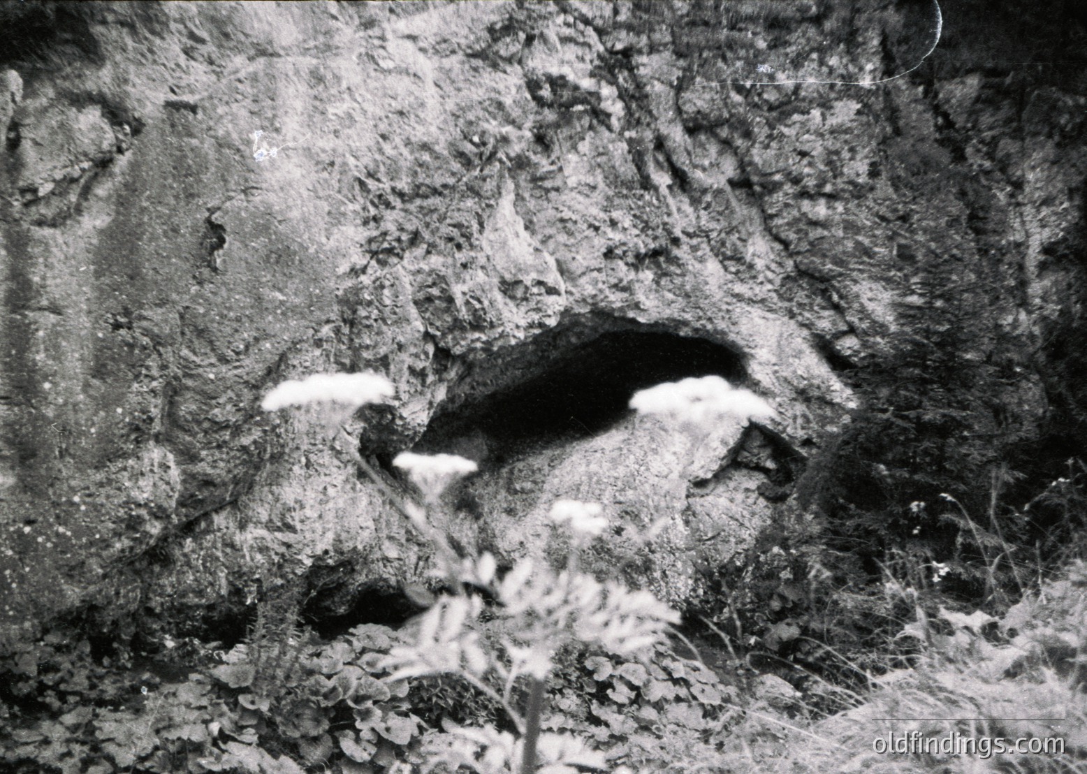 Black-and-white close-up of a cave entrance in rugged terrain, framed by jagged rock formations. Minimal vegetation at base suggests arid conditions. Likely mid-20th century due to grainy texture. Ideal for nature, exploration, or historical research.