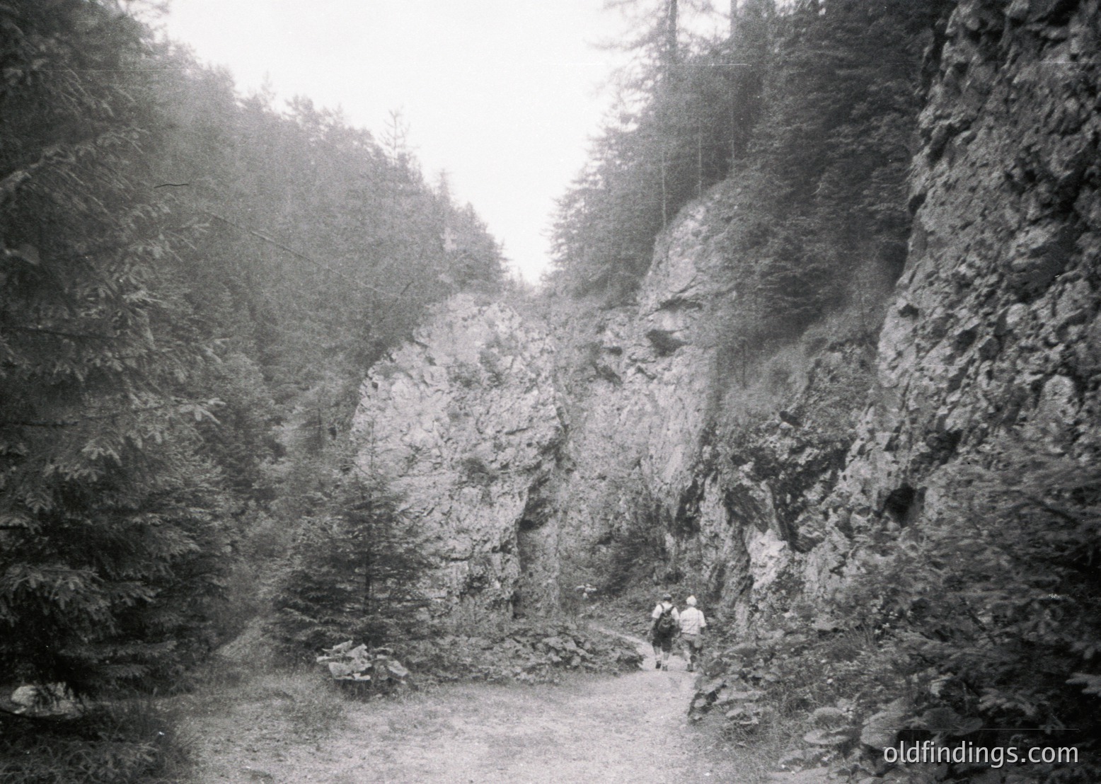 Early 20th-century black-and-white shot of a rugged mountain trail flanked by dense coniferous forest and sheer rock faces. Two figures in period attire—one carrying a pack—hike along a narrow, uneven path. Fog or mist obscures distant terrain, enhancing the sense of isolation.