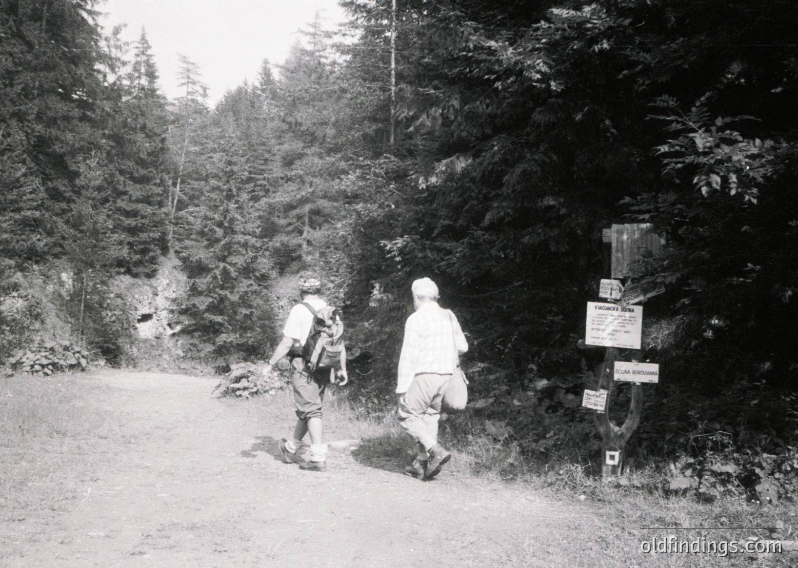 Two hikers in vintage outdoor gear stand on a dirt forest trail beside a wooden signpost marking "Jungfraujoch" and "Schilthorn," suggesting the Swiss Alps. Mid-20th century hiking attire and signage indicate a mid-century European alpine trek. Ideal for vintage travel, outdoor history, and hiking inspiration.