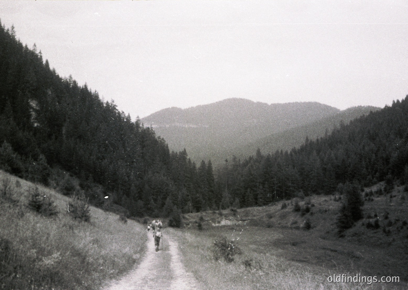 Black-and-white mountain trail scene with dense coniferous forest flanking a narrow dirt path. Three hikers in mid-20th century attire (long coats, hats) ascend toward misty peaks. Rugged terrain and overcast skies suggest alpine conditions. Likely European, mid-1900s.
