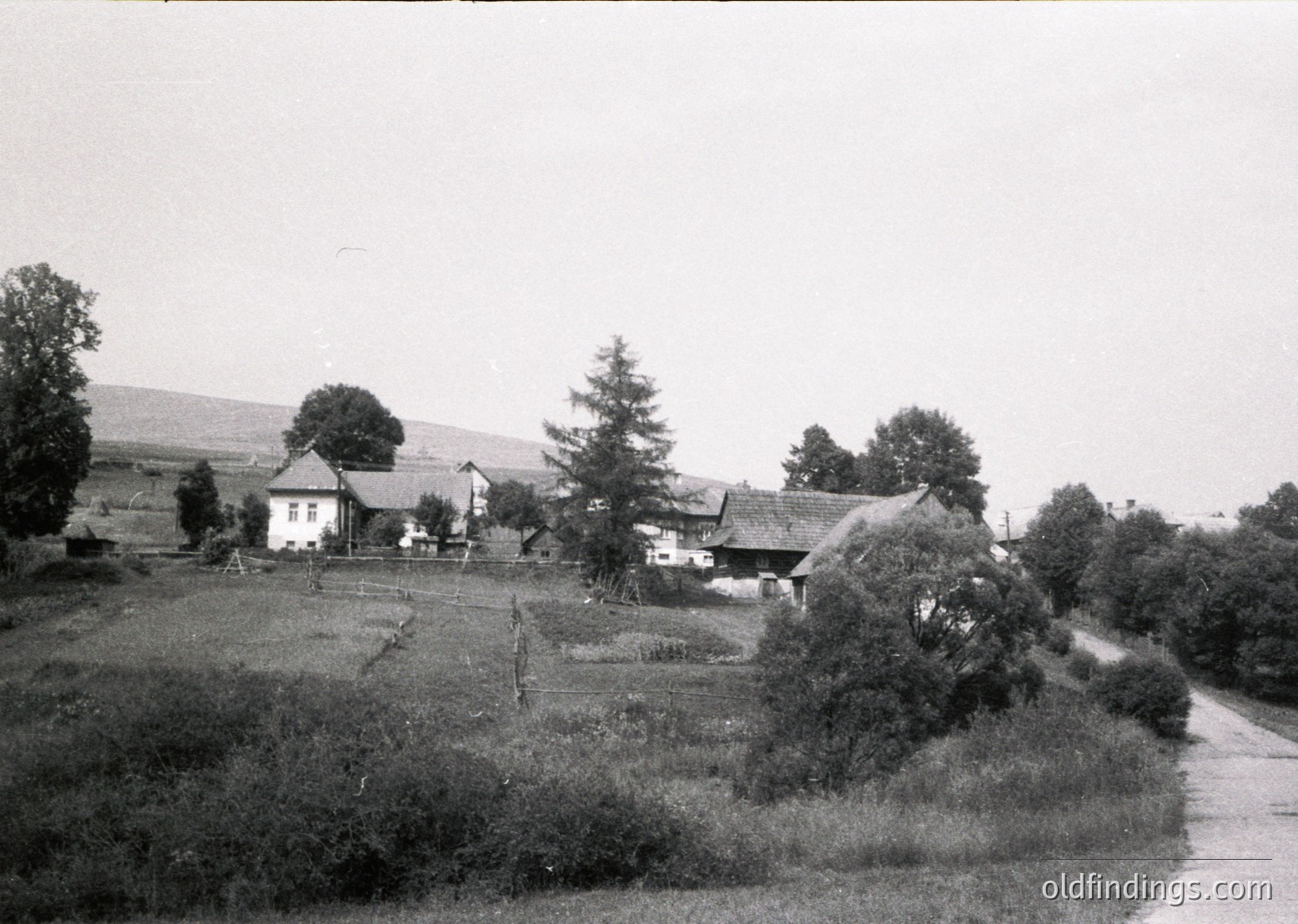 Black-and-white rural landscape featuring traditional wooden farmhouses with thatched roofs, surrounded by dense greenery and rolling hills. Likely Eastern European countryside, mid-20th century.