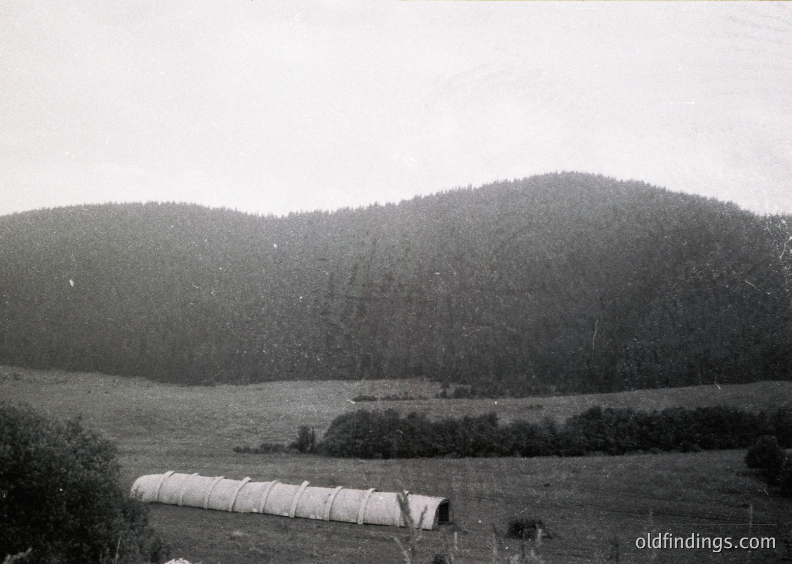 Vintage black-and-white landscape featuring rolling hills and dense forest in the background. Foreground shows rolled hay bales in an open field, suggesting rural agricultural practices. Overcast sky enhances the timeless, pastoral feel. Likely mid-20th century European countryside.