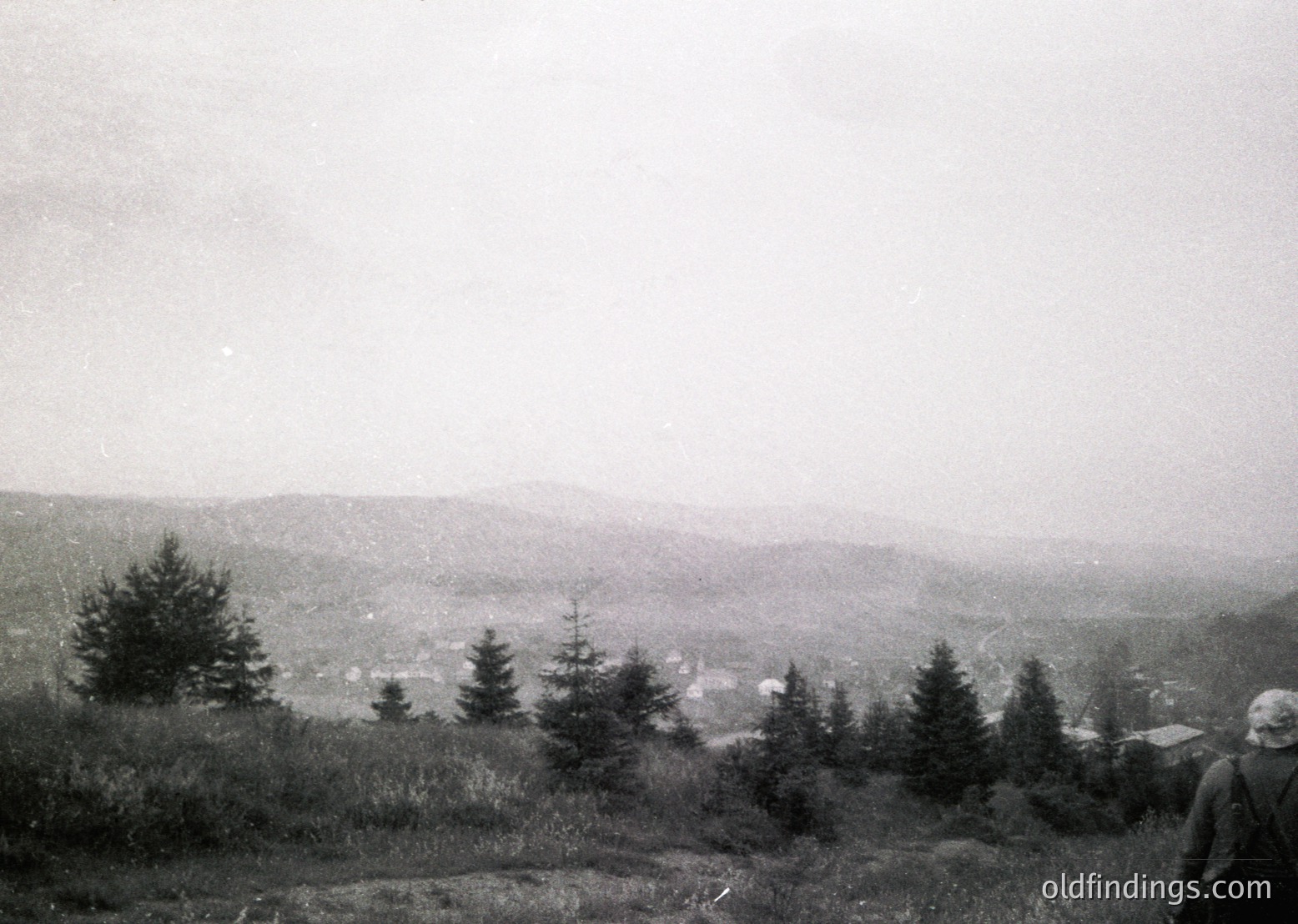 Black-and-white landscape shot of a forested hillside overlooking a valley town, likely mid-20th century. Dense pine trees frame the foreground, while a lone figure in dark clothing stands near the edge. Distant buildings and rolling hills suggest a rural European setting.