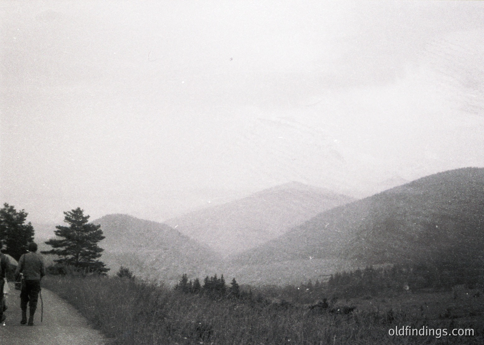 Mid-20th century black-and-white hike on winding mountain trail with misty valley views. Two hikers in casual 1950s-60s attire—one carrying a bag—walk along a narrow dirt path surrounded by dense foliage and evergreen trees. Mist obscures distant ridges, enhancing serene, rugged atmosphere.