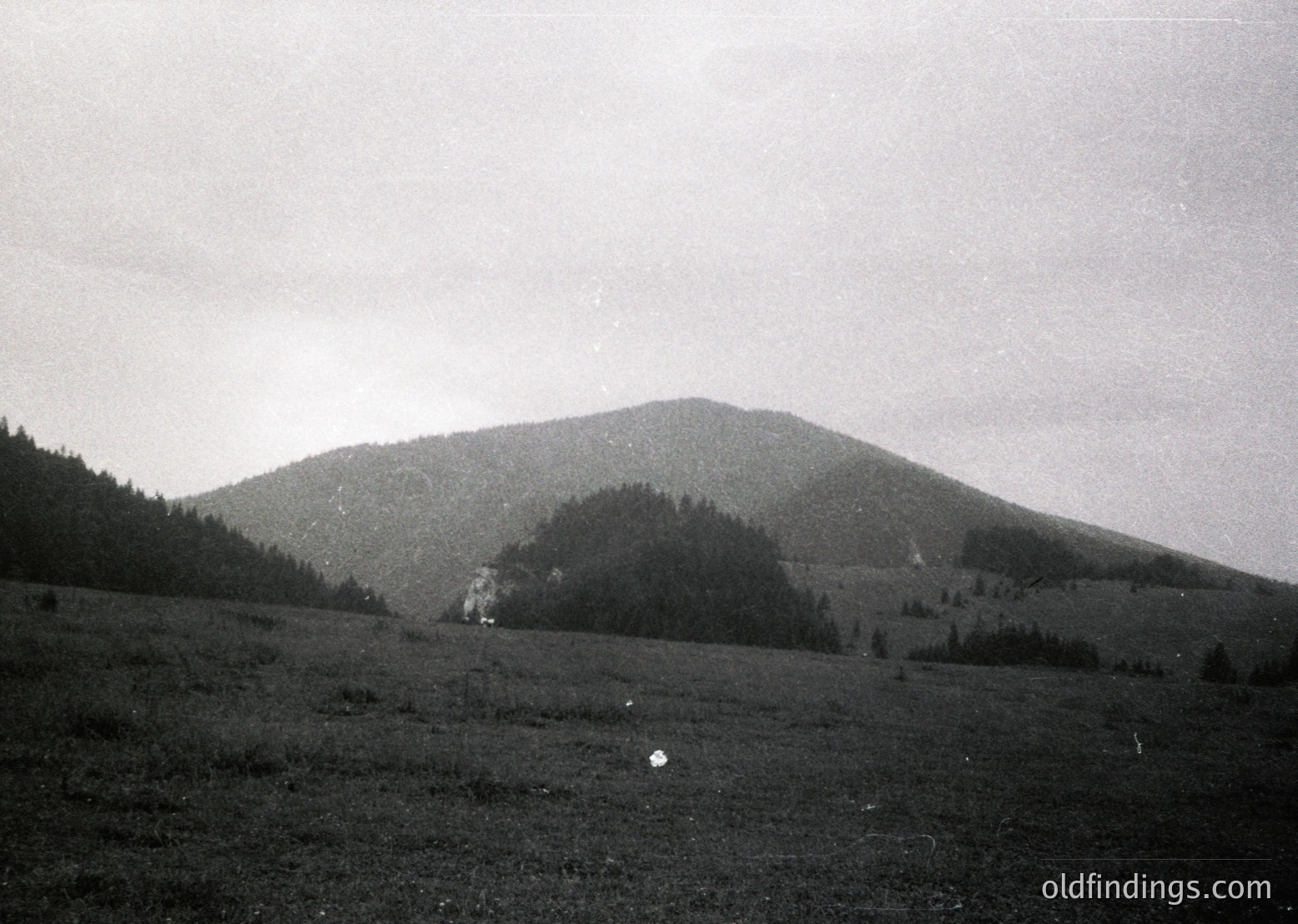 Black-and-white landscape featuring a forested mountain ridge with sparse vegetation in the foreground. Mist or low clouds partially obscure the peak, creating a dramatic, atmospheric effect. Likely mid-20th century due to grainy texture and monochrome style.
