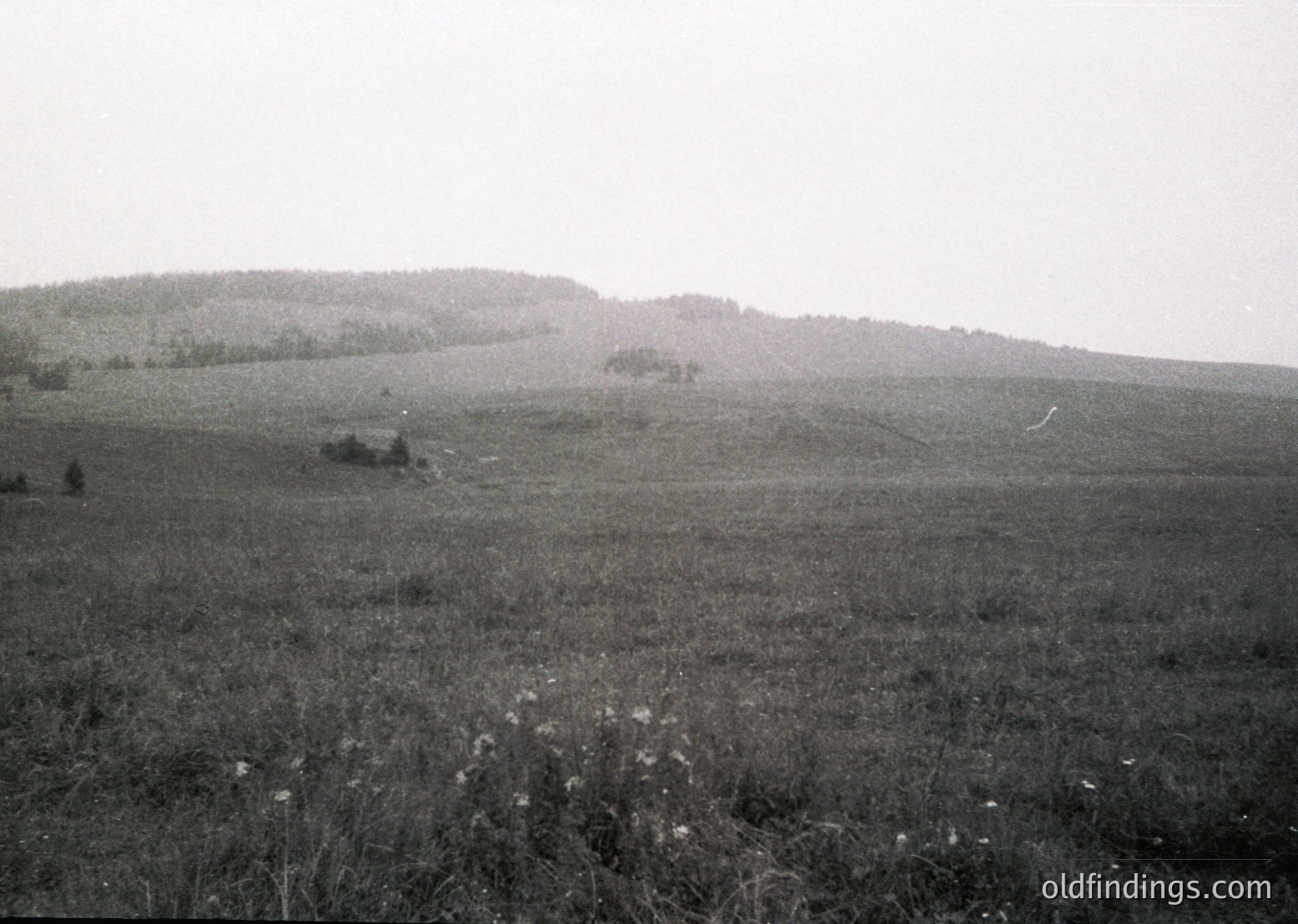 Vintage black-and-white landscape of rolling hills and open meadows with sparse vegetation. Distant tree clusters and faint horizon line suggest rural isolation. Monochromatic tone enhances timeless, serene atmosphere. Potential agricultural or pastoral setting.