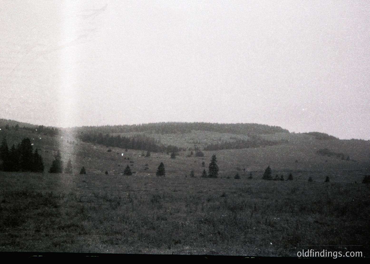 Vintage black-and-white landscape of rolling hills and sparse forest, likely mid-20th century. Low-angle shot captures undulating terrain with scattered coniferous trees and open meadows. Overcast sky enhances moody, timeless atmosphere. Potential historical or stock use for nature/landscape themes.