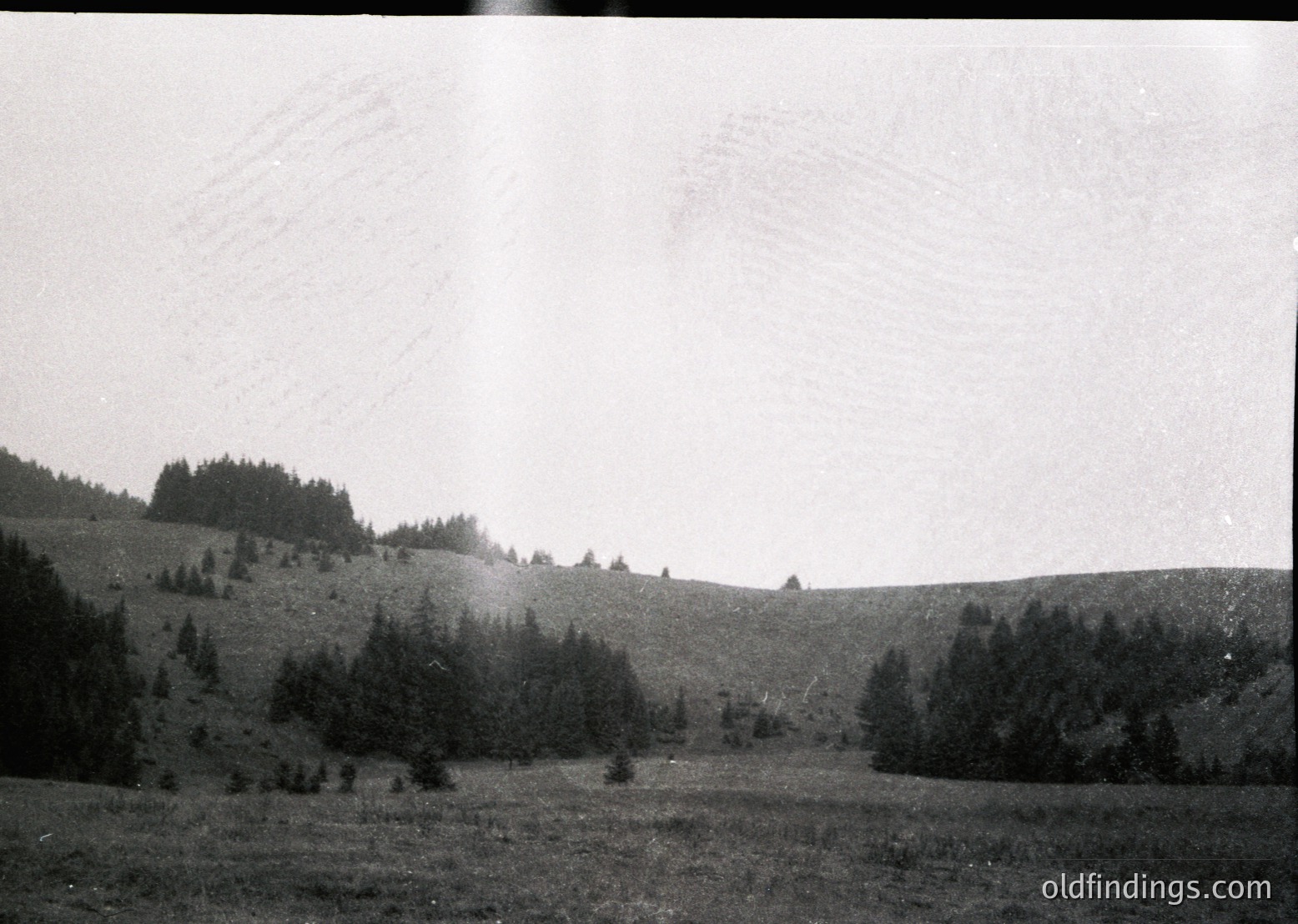 Vintage black-and-white landscape of forested rolling hills under overcast skies. Dense coniferous trees dominate the midground, with sparse vegetation on the slopes. Likely early-to-mid 20th century due to photographic style.