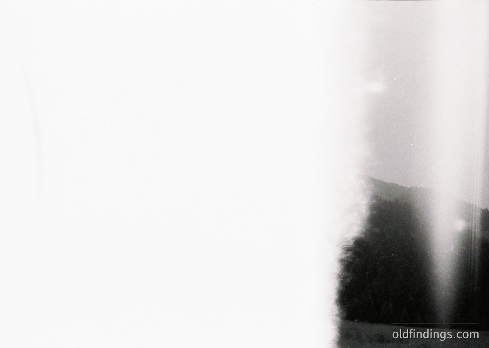 Vintage monochrome shot of a sunburst through dense foliage, likely a forest or park. Light rays create a dramatic, abstract pattern against blurred greenery. Style suggests mid-20th century photography (). Ideal for moody, atmospheric design references or historical visual research.