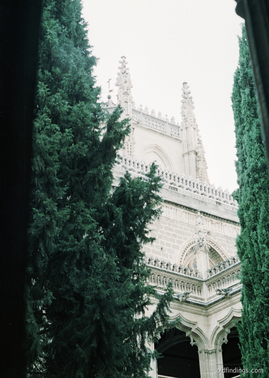 Gothic-style cathedral facade framed by dense evergreen trees, showcasing pointed arches, ornate tracery, and buttresses. Likely European, possibly or early architecture. Dramatic framing enhances depth.