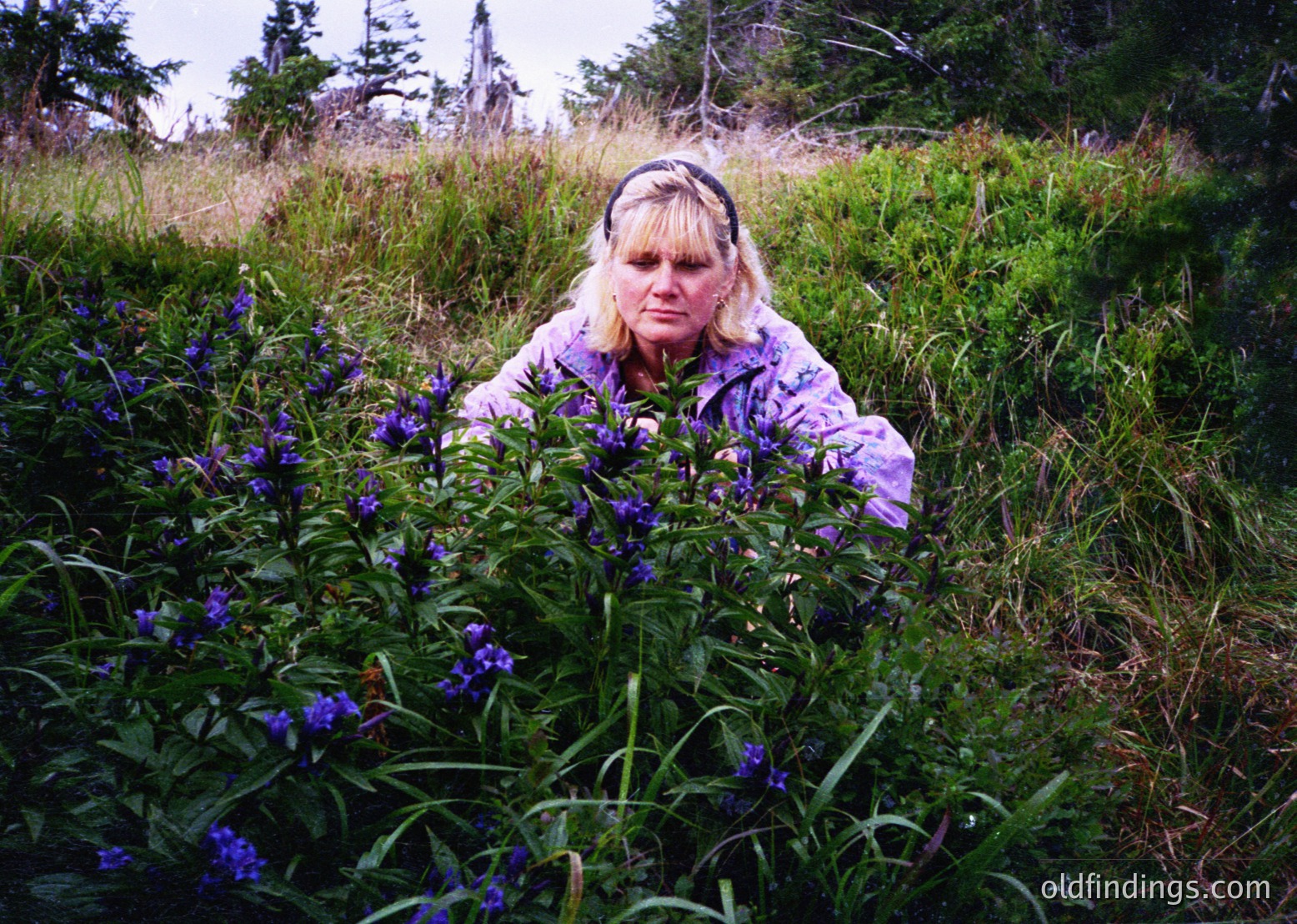 Woman kneeling among vibrant purple wildflowers in a lush, green meadow with evergreen trees in background. Likely 1990s-2000s outdoor portrait.