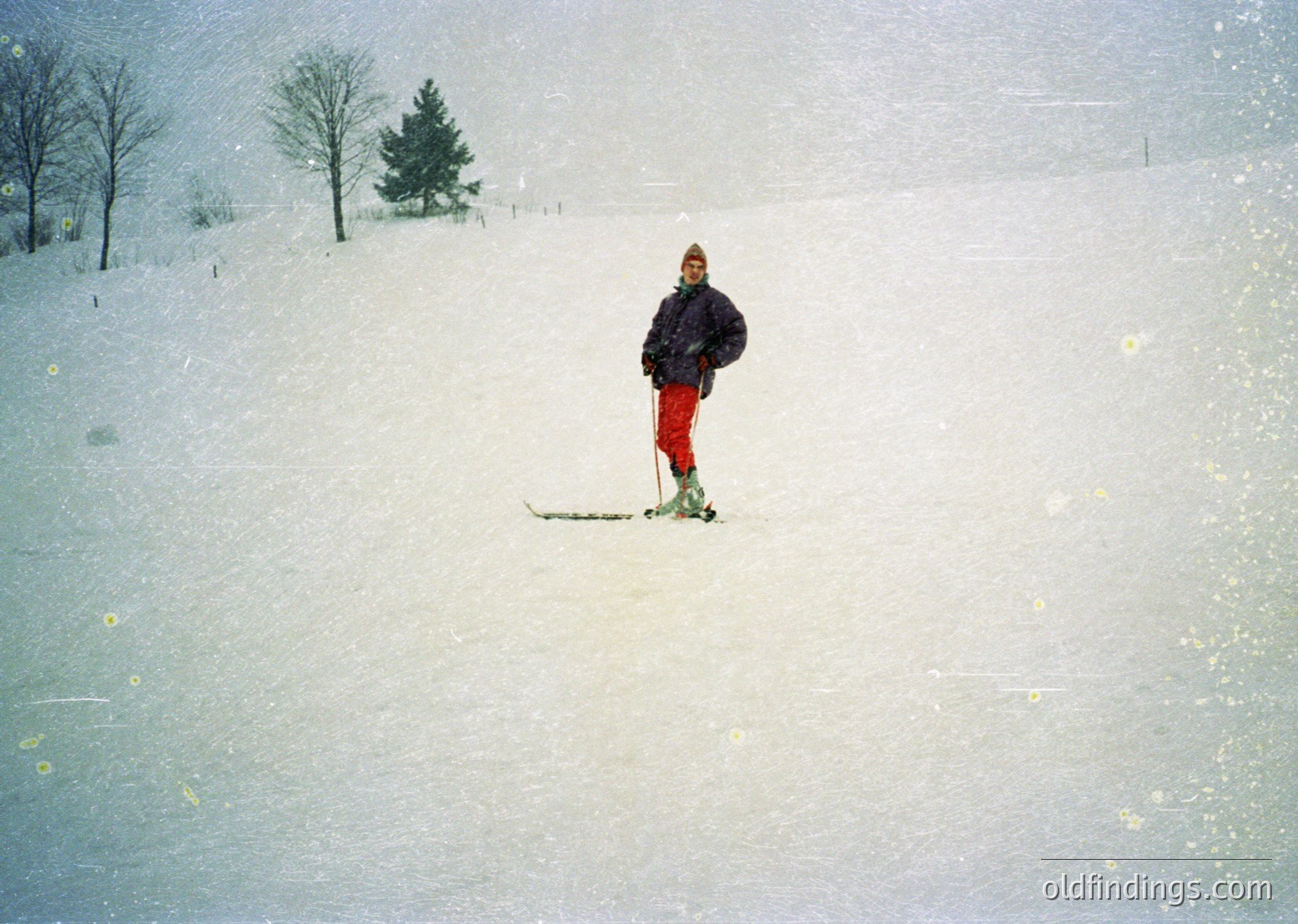Solo skier in mid-glide on groomed snow, wearing red pants and dark jacket, set against sparse evergreens and flat terrain. Likely mid-20th century winter sports scene.
