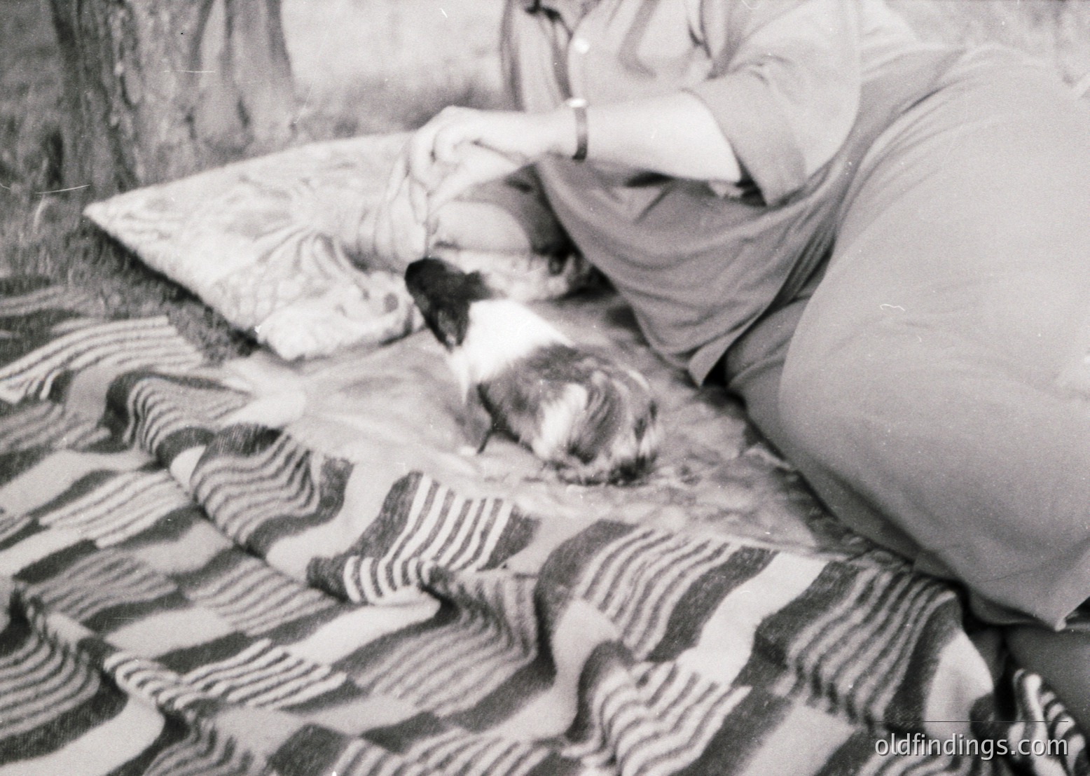 A person gently pets a small, light-colored cat on a striped blanket, likely mid-20th century. The scene suggests domestic intimacy, possibly or home life. The striped blanket’s geometric pattern adds vintage charm.