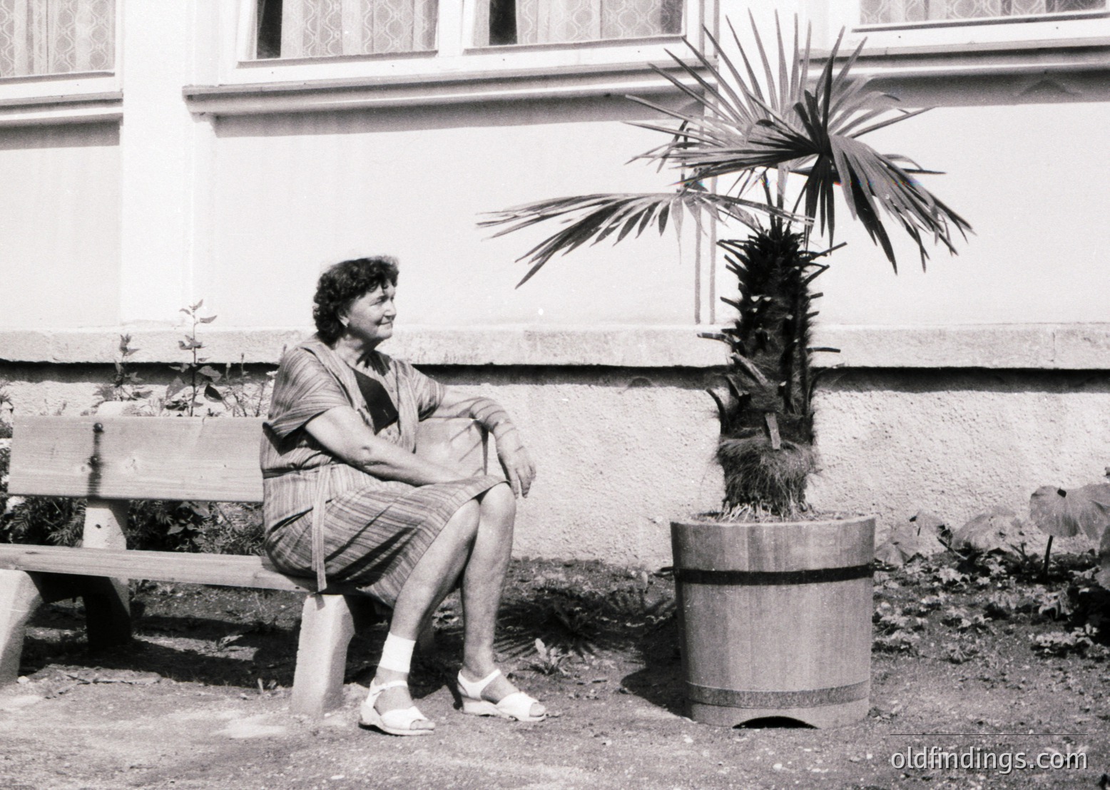 Woman in 1970s-style striped dress and sandals sits on a wooden bench beside a potted palm in a barrel. Mid-century courtyard with light-colored plaster wall and window.