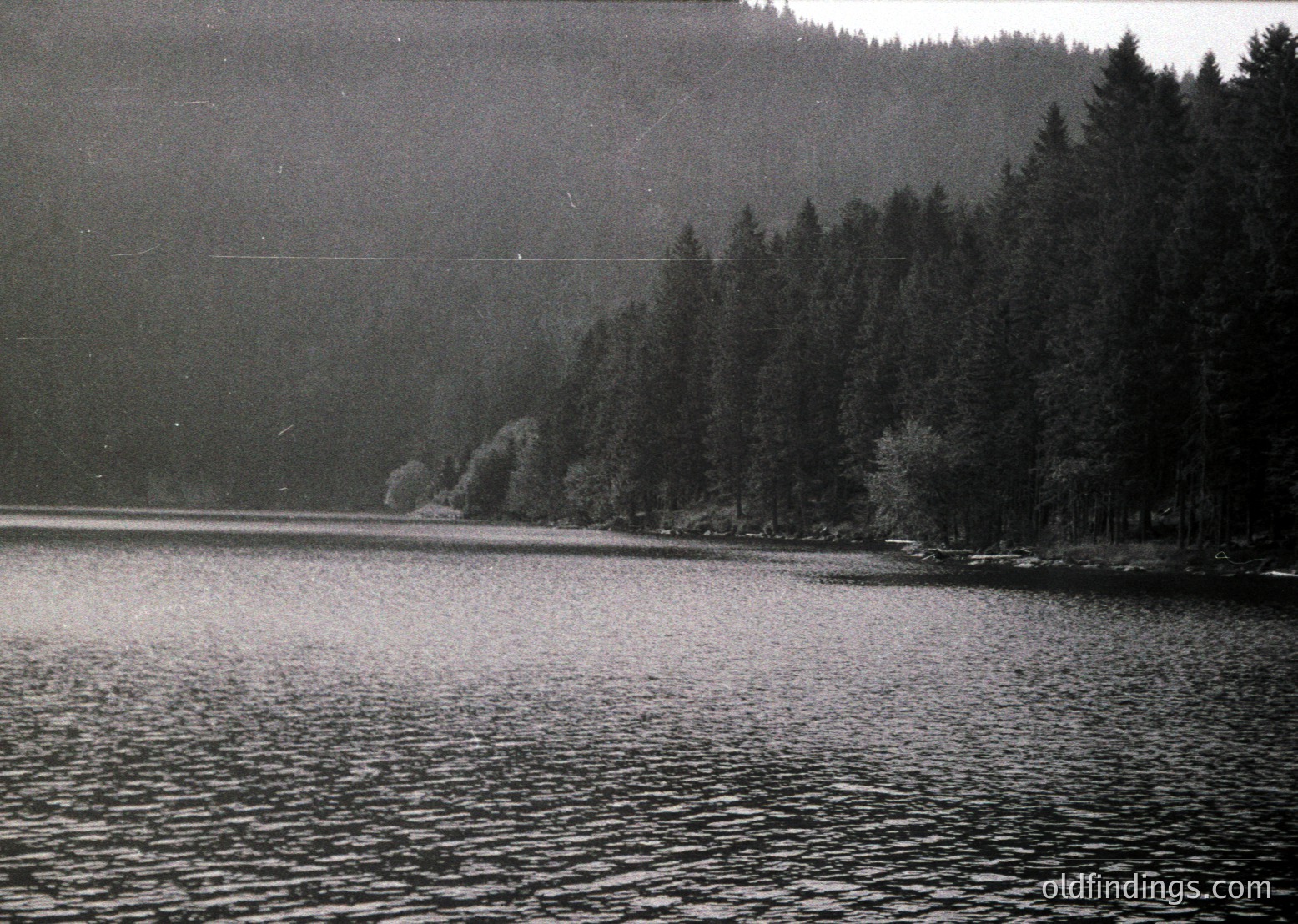 Black-and-white lakeside scene with dense coniferous forest lining the shore, reflecting muted light. Mid-20th century composition, likely , evoking serene natural landscapes. Potential stock use for travel, nature, or historical archives.