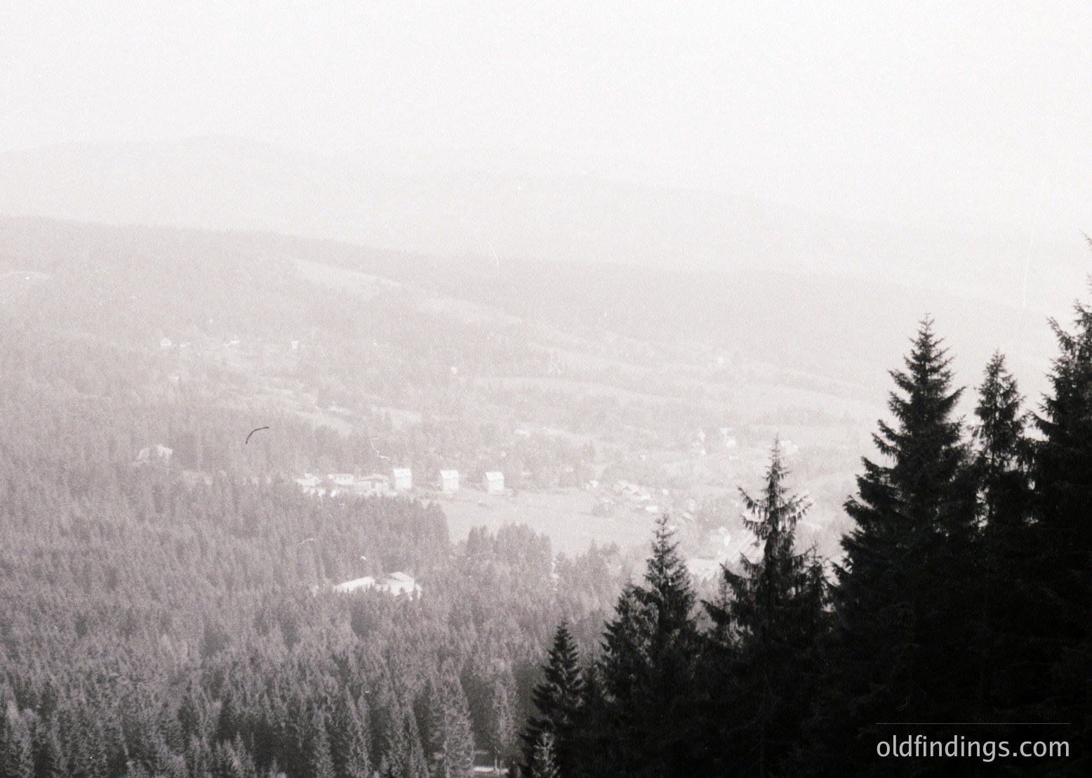 Black-and-white panoramic shot of a misty alpine valley, framed by dense coniferous forest. Distant village nestled between rolling hills, with a prominent white church spire. Snow dusts rooftops and tree branches.