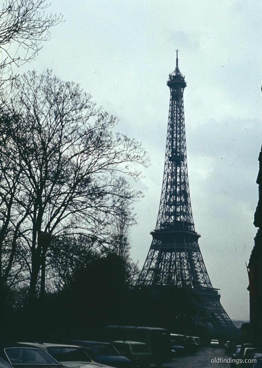 Vintage black-and-white shot of the Eiffel Tower framed by bare winter trees and vintage cars, likely 1950s–1960s Paris. Iconic iron lattice structure dominates skyline under overcast skies.