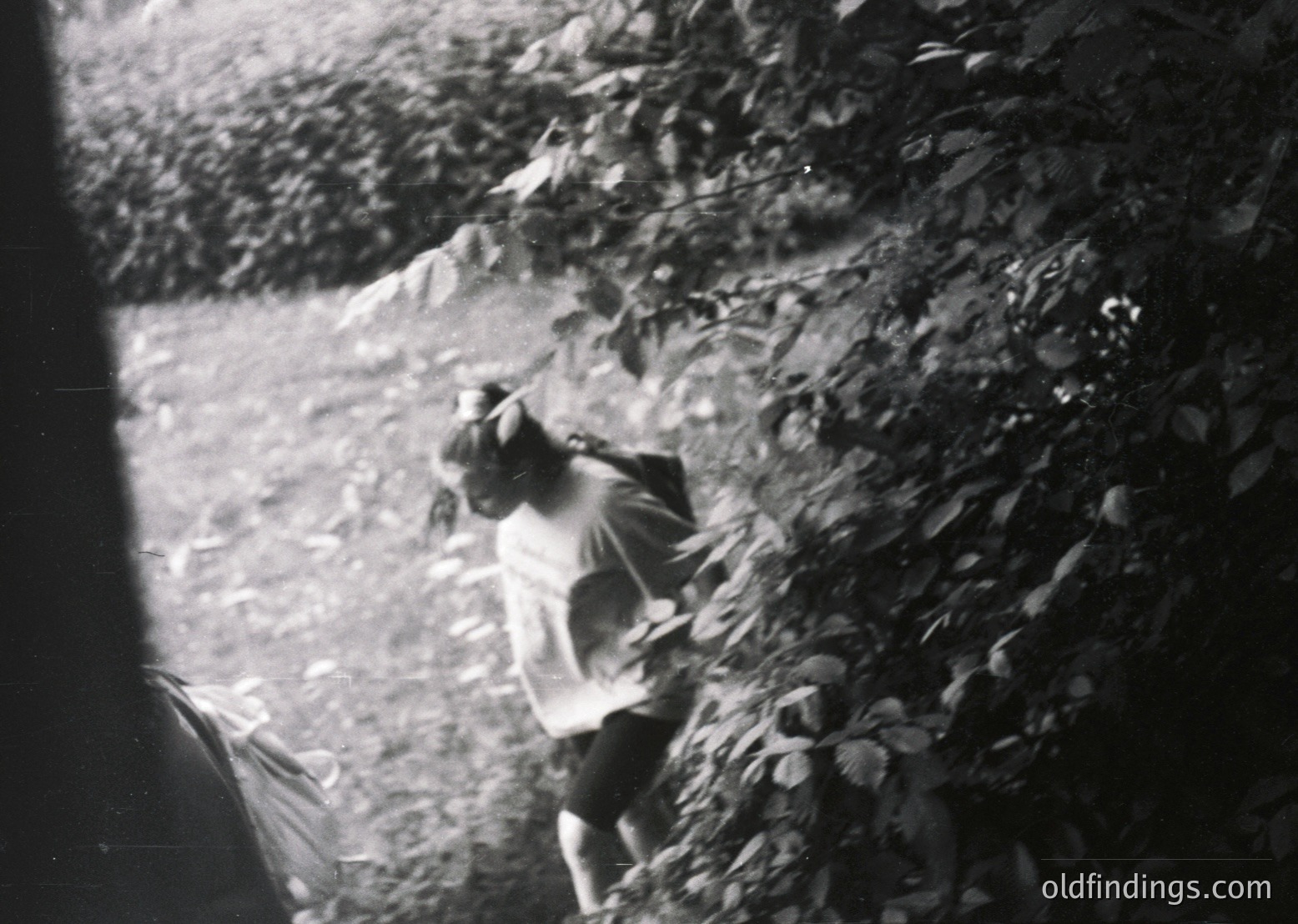 Vintage black-and-white shot of a child mid-jump, surrounded by dense foliage. Dynamic composition captures motion and nature’s texture. Likely mid-20th century, outdoor setting.