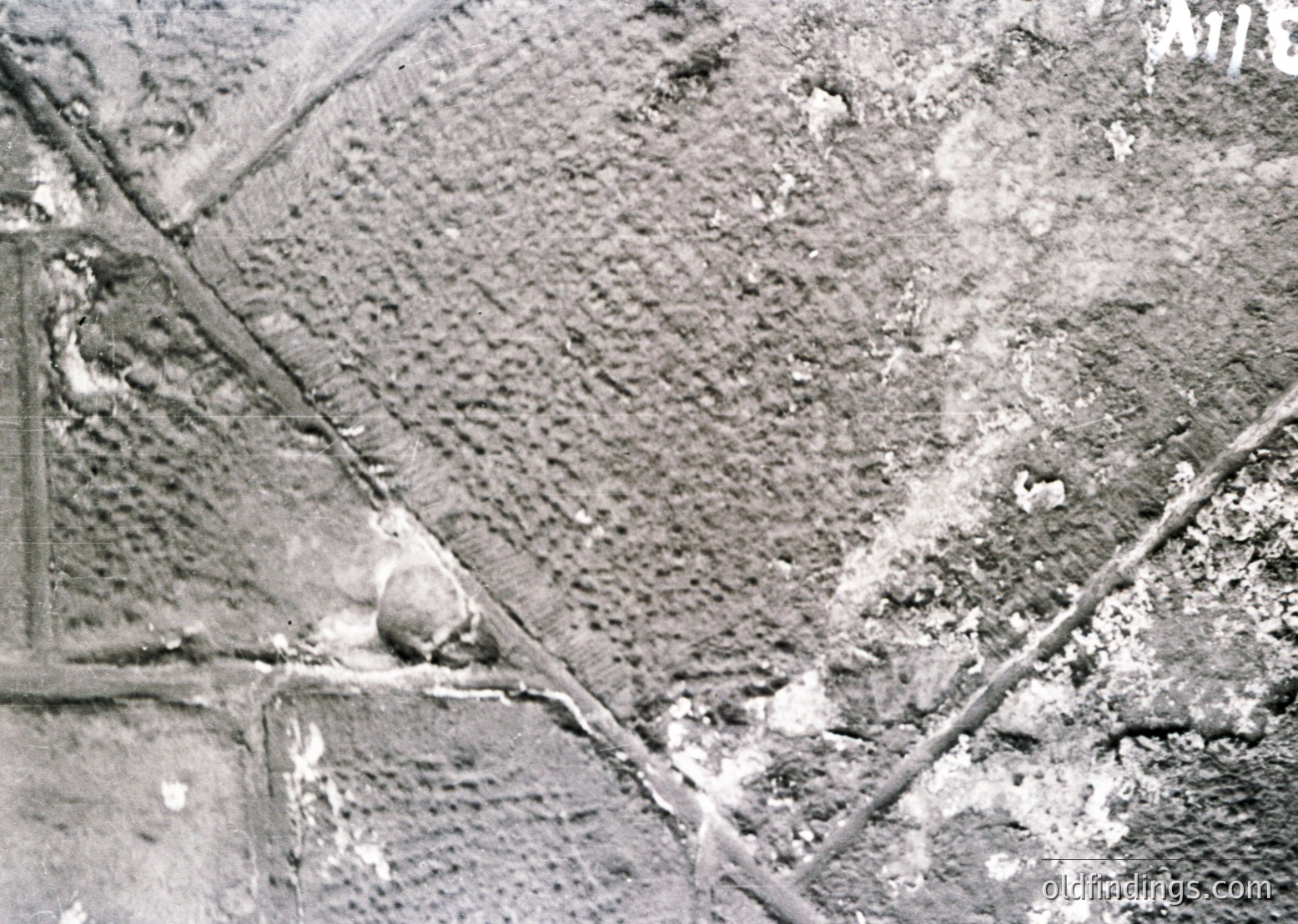 Aerial view of plowed agricultural fields in a grid pattern, likely post-WWII. Distinct furrows and a lone animal (possibly a cow) grazing.