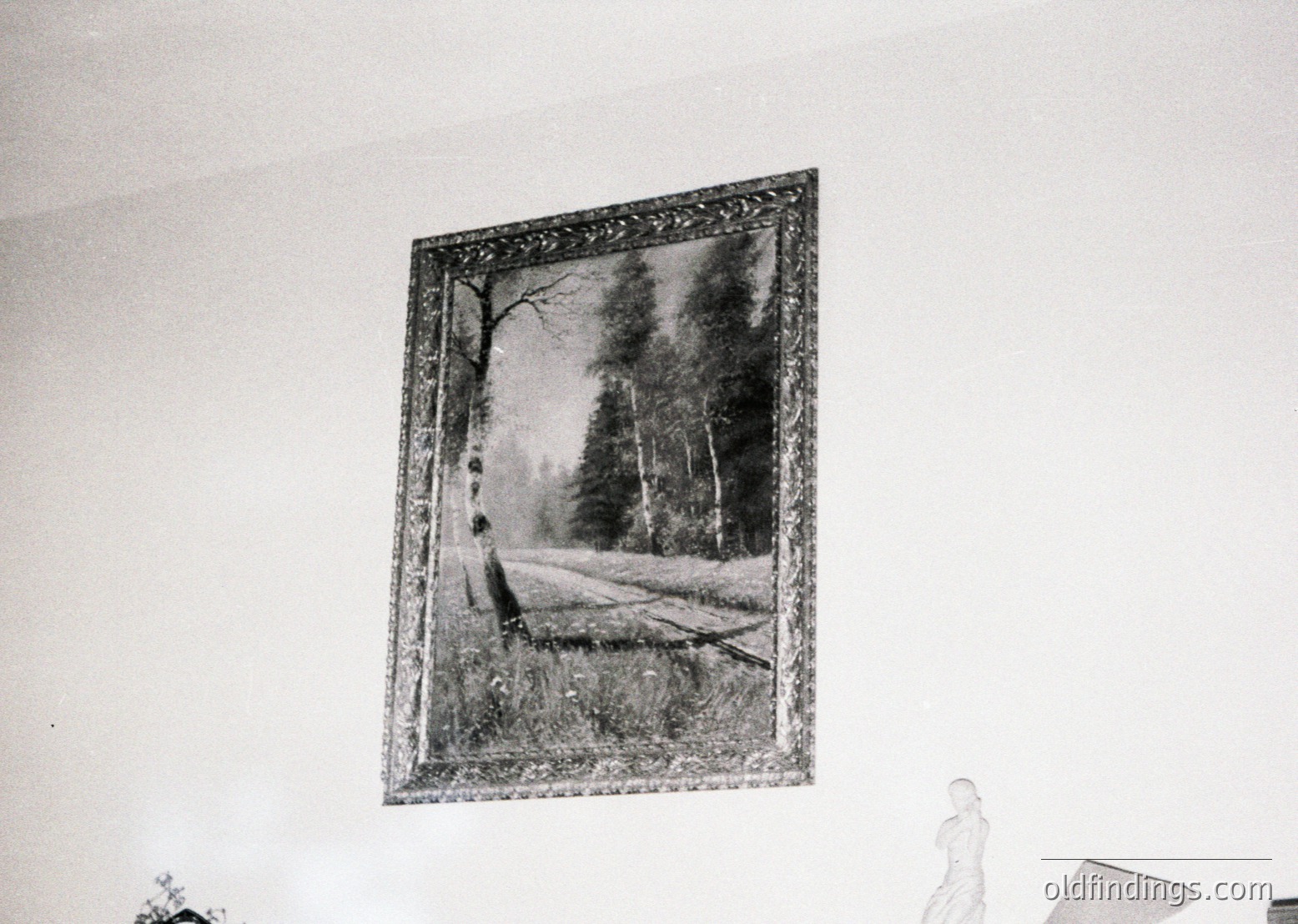 Vintage framed landscape print depicting dense forest with a fallen tree trunk in foreground. Ornate gilded frame suggests mid-20th century interior decor.