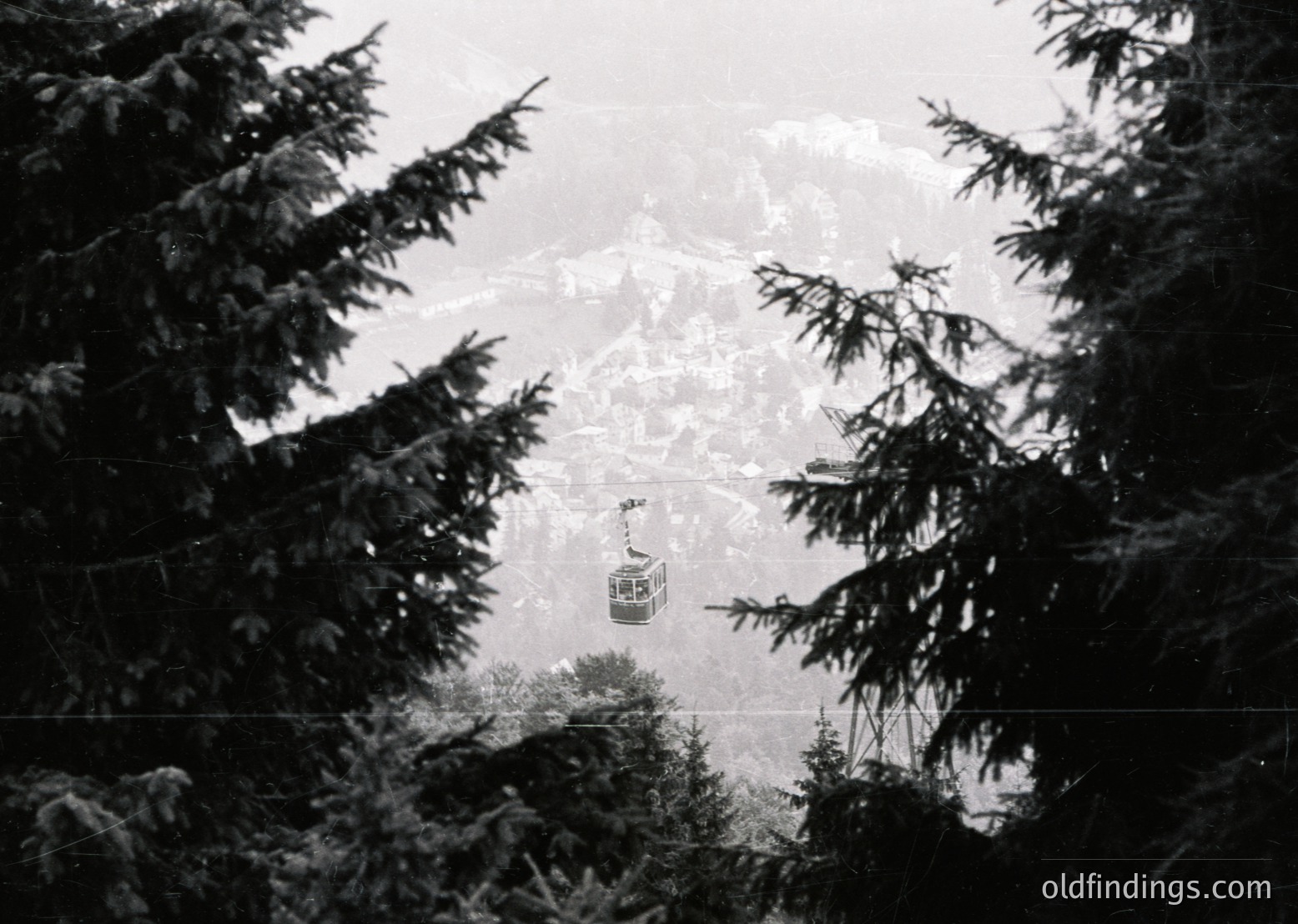 Mid-20th century alpine cable car suspended between dense coniferous trees, framed by snow-laden branches. Fog obscures distant mountain peaks, enhancing dramatic atmosphere. Likely European alpine region, mid-century tourism infrastructure.