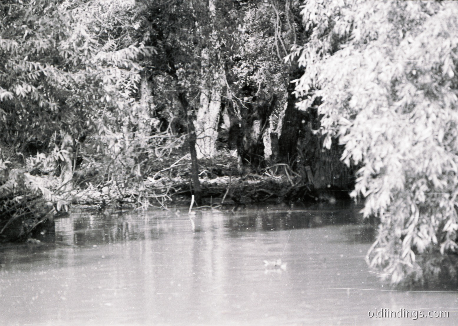 Frozen riverbank lined with leafless trees, partially covered in snow. Reflective ice surface captures tree branches. Likely early 20th-century winter landscape, possibly rural Europe.
