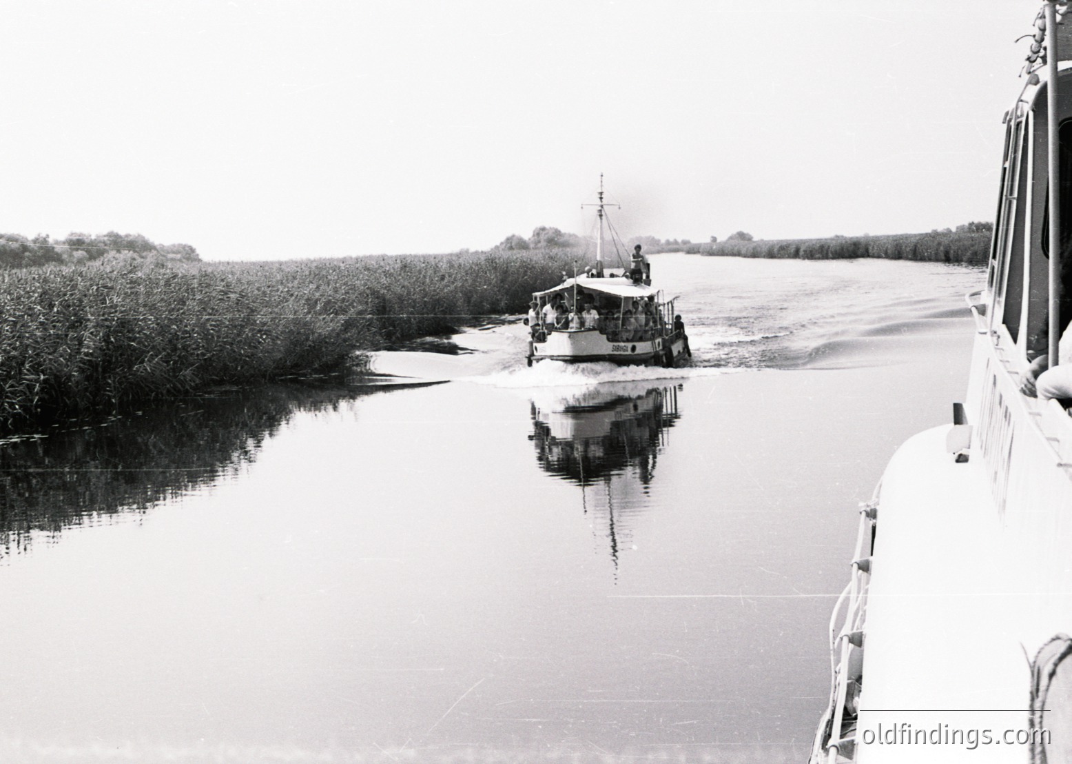 A vintage ferryboat traverses calm waters through a marshy landscape, reflected symmetrically below. Dense reeds line both sides, framing the scene. The boat’s passengers appear relaxed, suggesting mid-20th century transport. Likely Eastern European riverine route, possibly Danube or similar.