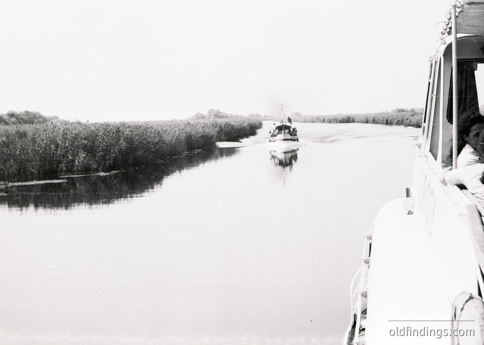 Black-and-white river scene featuring a small boat navigating dense, marshy vegetation. The boat’s wake disrupts calm waters, framed by reeds and distant trees. Partial view of a passenger vessel’s side suggests mid-20th century design. Likely Eastern European river transport, possibly Danube or similar route.