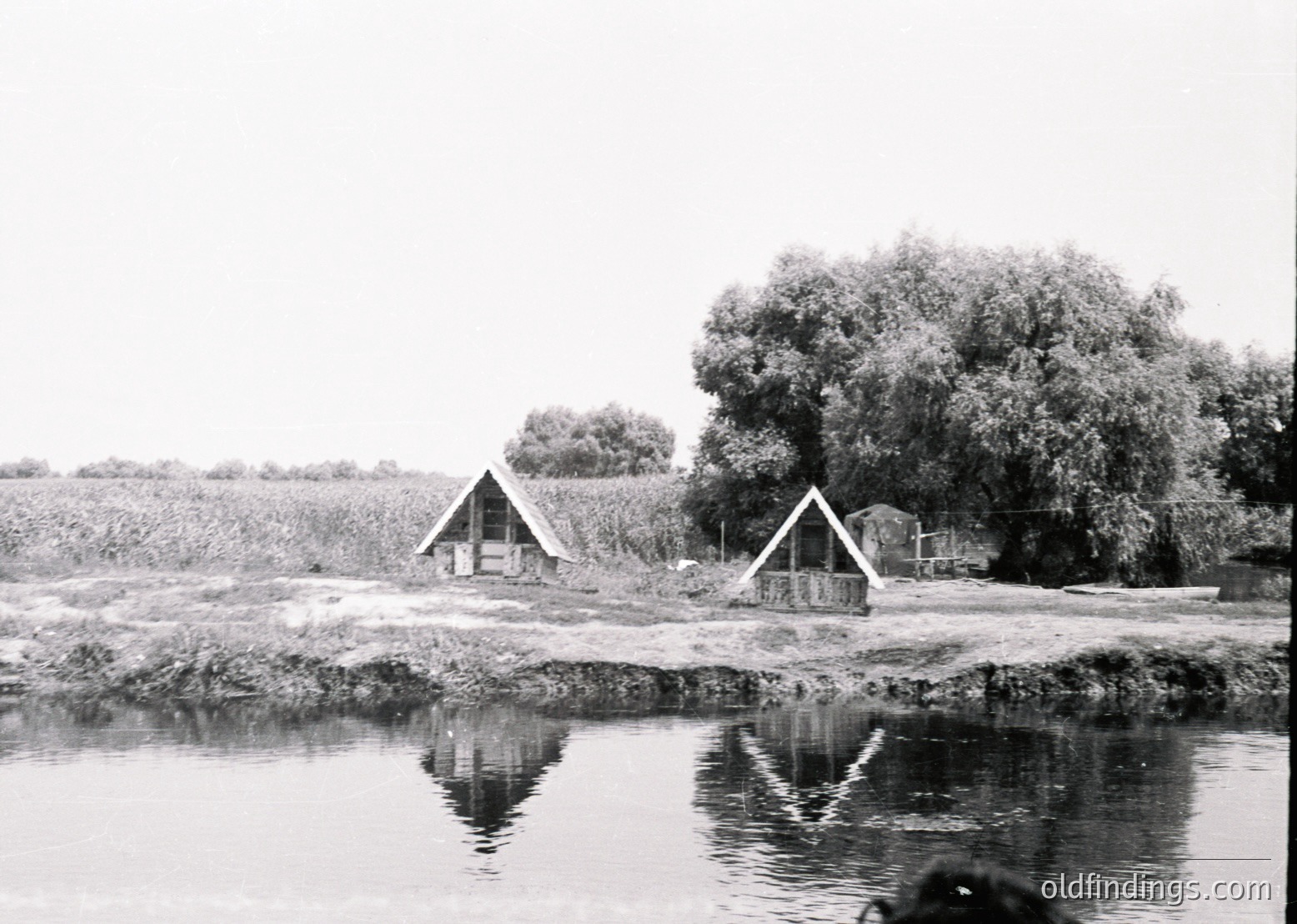 Rustic lakeside huts with triangular roofs, partially submerged in shallow water, surrounded by reeds and willow trees. Reflections create a mirror-like effect on the calm surface. Mid-20th century rural architecture, likely Eastern European.