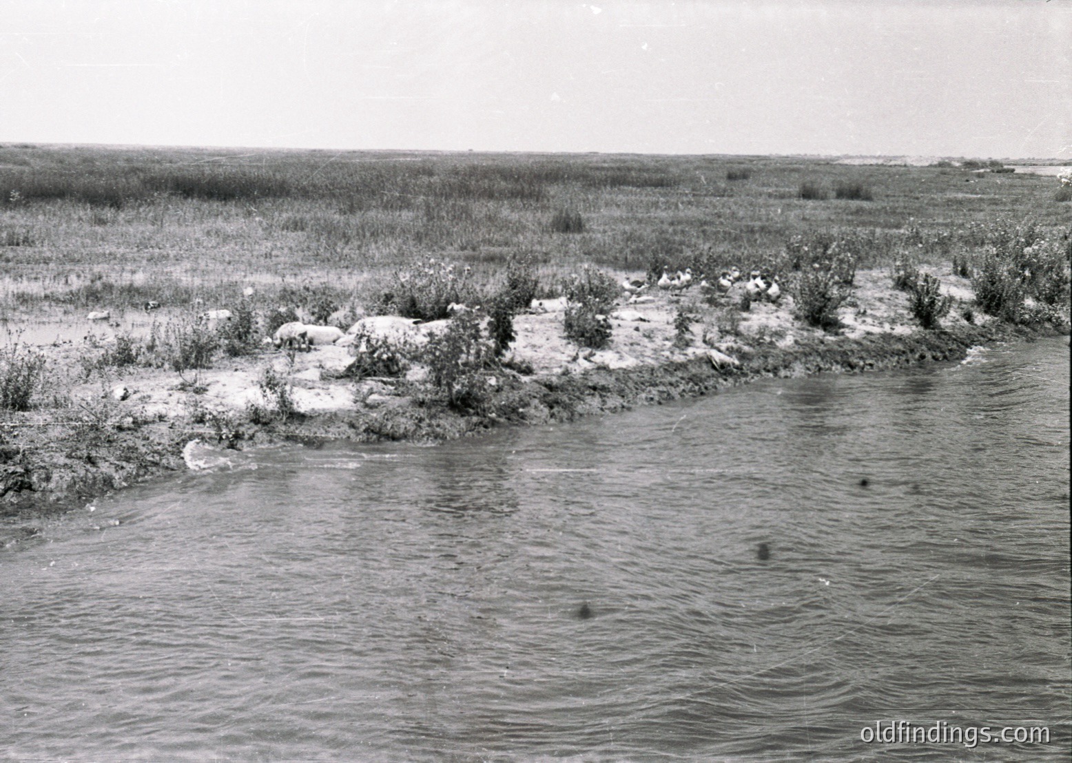 Ruined concrete structures partially submerged in shallow water, surrounded by sparse vegetation and open marshland. Likely mid-20th century industrial or agricultural remnants.