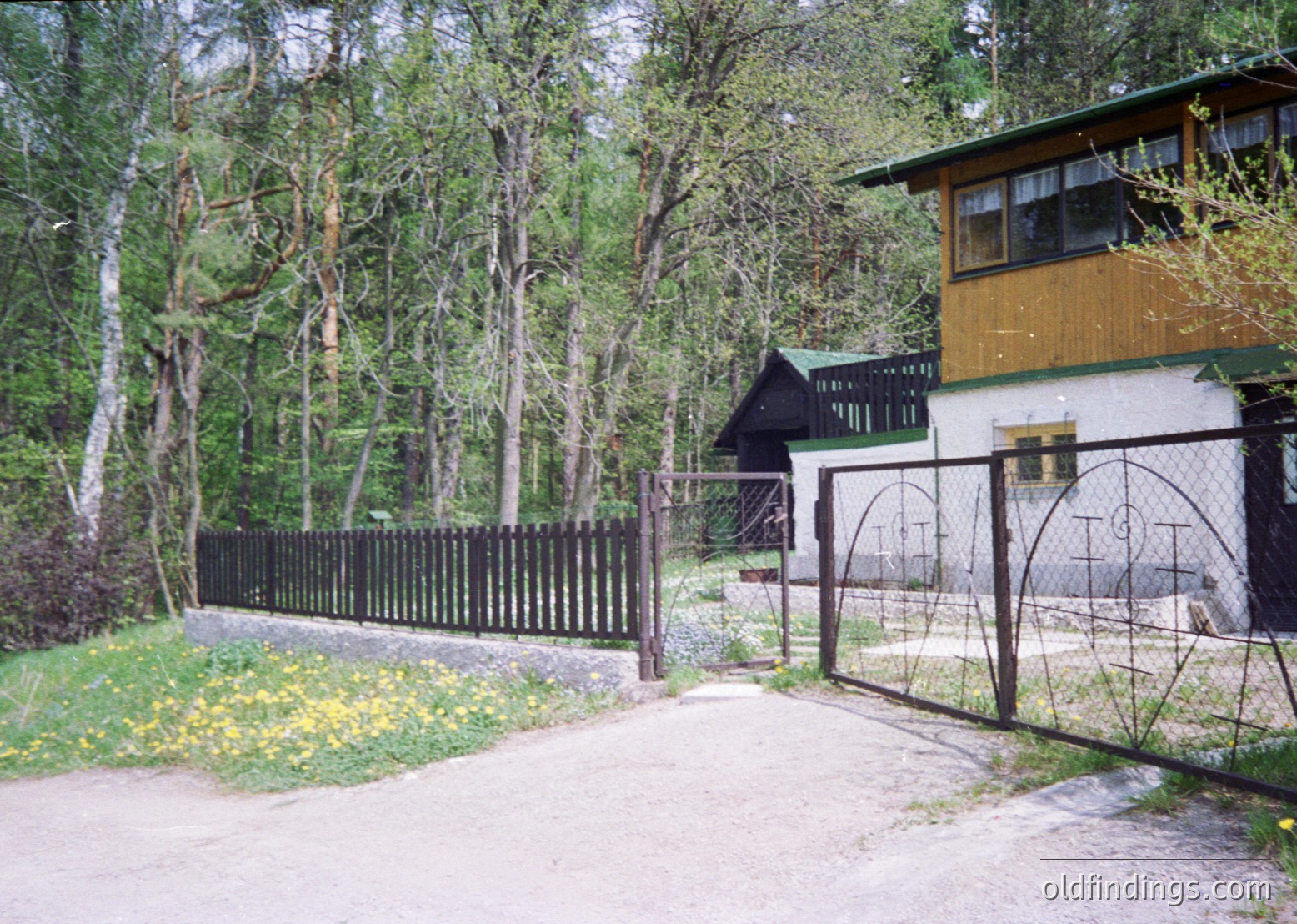 Rural wooden house nestled in a forested area, featuring a gated driveway with yellow wildflowers. The structure has a mix of white and yellow walls with dark trim, surrounded by a chain-link fence. Dense pine trees frame the scene, suggesting a serene, secluded setting.