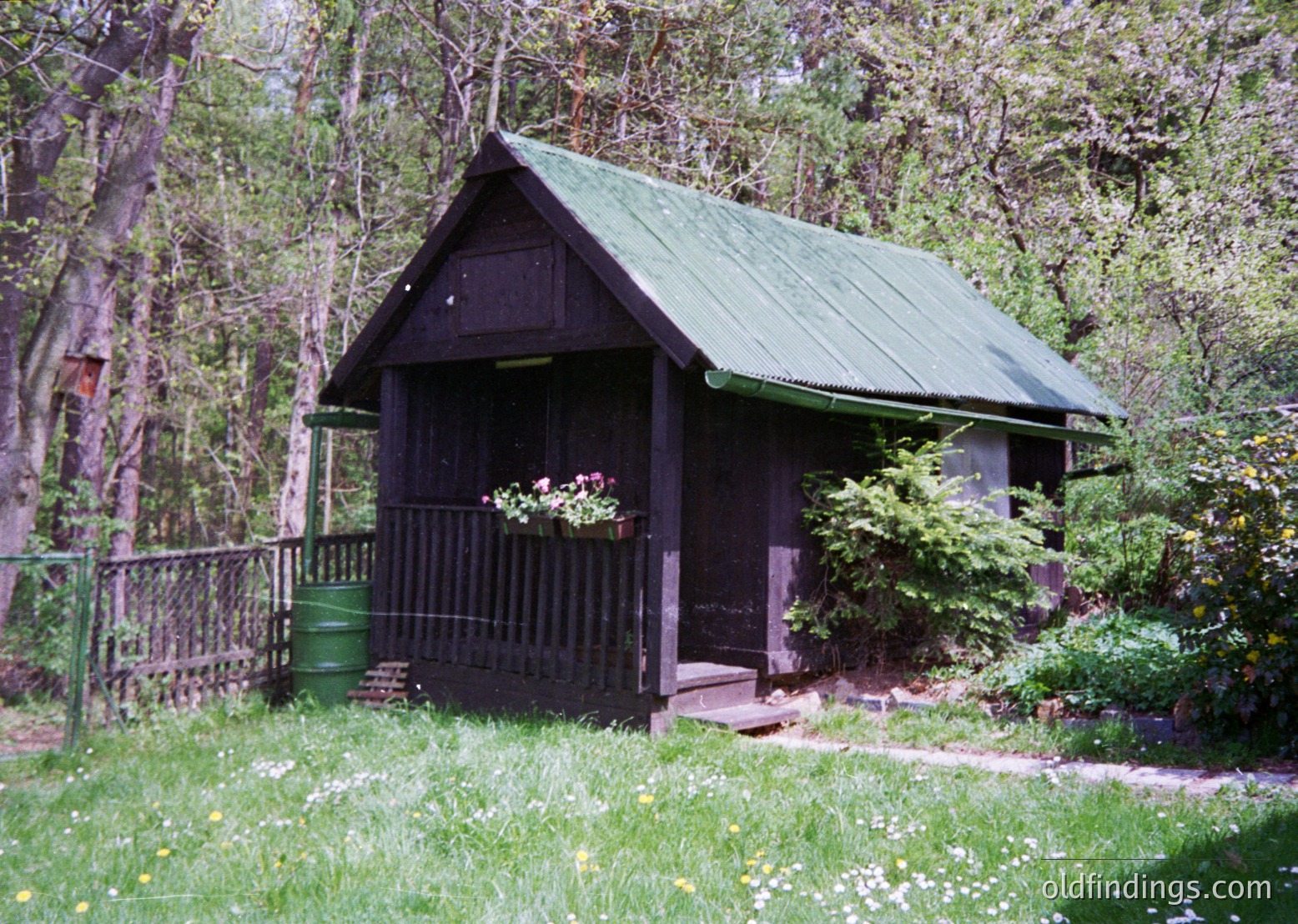Rustic wooden shed with green metal roof, surrounded by lush greenery and wildflowers. Simple wooden fence and green barrel add charm. Likely a rural or garden setting, evoking vintage cottagecore aesthetics.