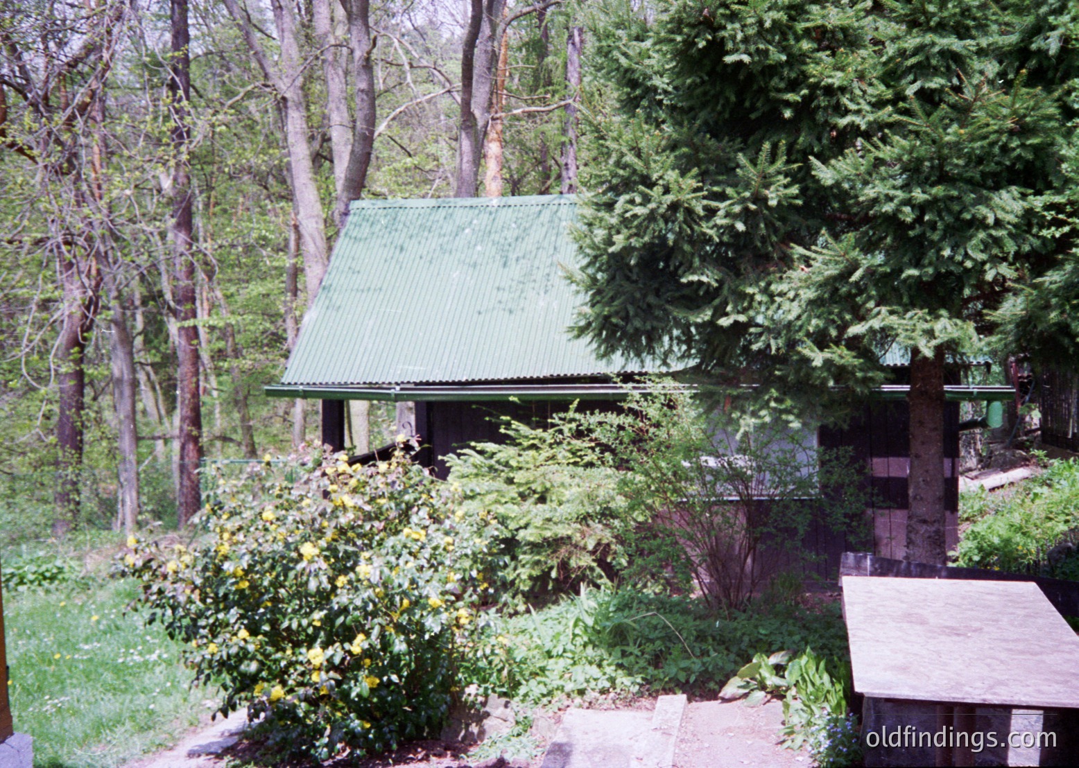 Mid-century wooden cabin nestled in dense forest, featuring a gabled green metal roof and rustic brick chimney. Surrounded by lush greenery, including flowering shrubs and mature conifers. Pathway and wooden bench suggest a serene, secluded retreat.