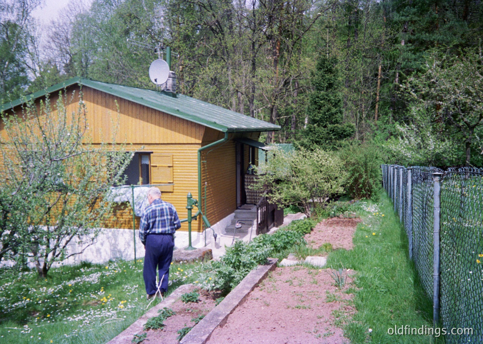 A man in a checkered shirt and cap tends to a small, rustic wooden cabin with a green roof, set in a forested area. Satellite dish atop the cabin suggests rural connectivity. Pathway bordered by wildflowers and overgrown greenery leads to a gated entrance. Likely Eastern European countryside, mid-20th century.