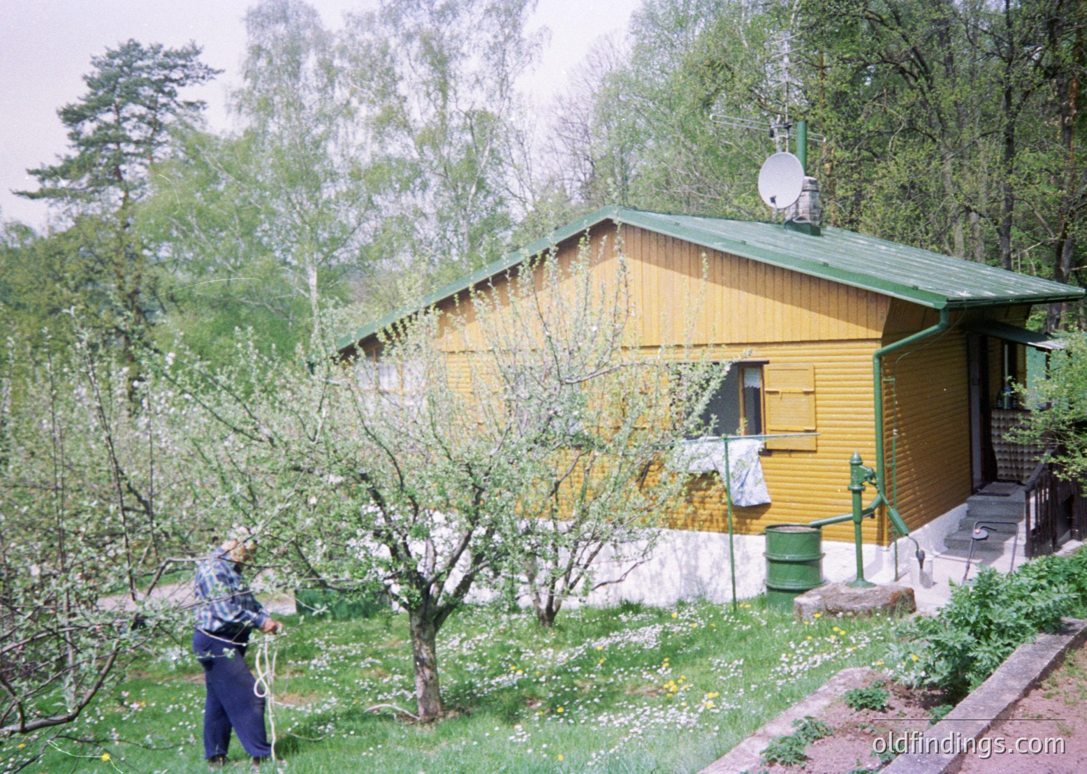Rustic wooden cabin in forested setting, featuring green roof and yellow siding. A person in a striped shirt and cap tends to a small tree or shrub. Satellite dish atop roof suggests rural connectivity. Mid-20th century design with simple, functional lines.