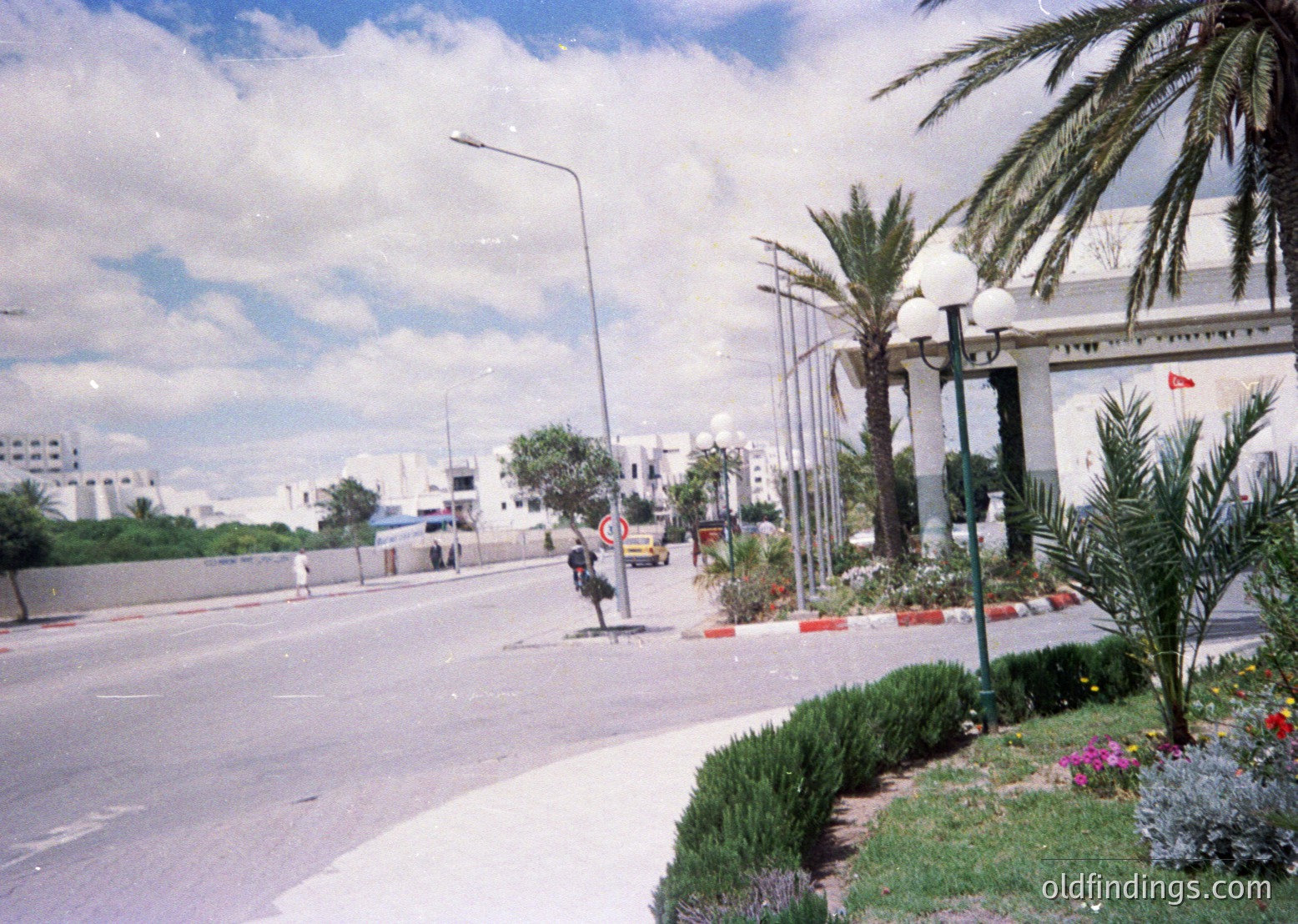 Mid-20th century seaside boulevard with palm-lined promenade, whitewashed buildings, and vintage street lamps. Pedestrian crossing sign and minimal traffic suggest a quiet coastal town. Floral planters and manicured greenery enhance Mediterranean charm.