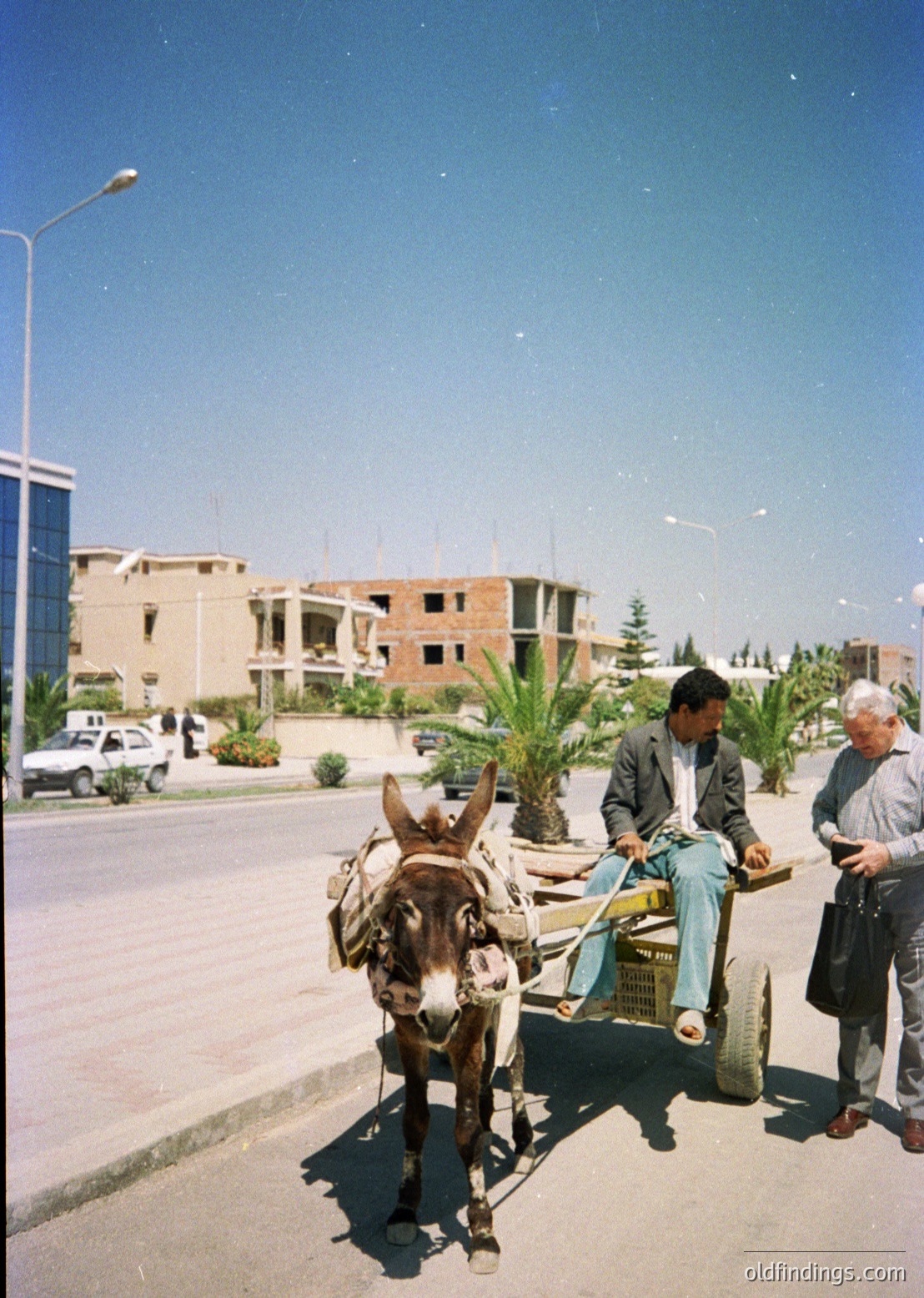 Vintage street scene featuring a man driving a donkey cart with two seated passengers. Urban setting with mid-rise concrete buildings and palm trees. Likely Mediterranean or Middle Eastern region, 1960s–1970s.
