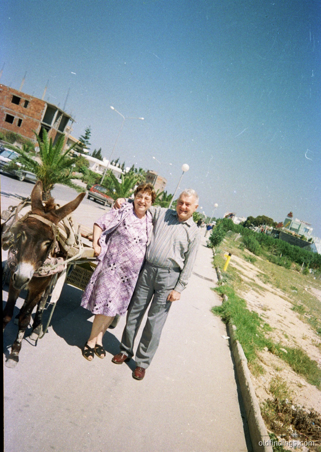 Couple posing beside a donkey-drawn cart in a coastal urban setting, likely Mediterranean. Woman in patterned dress, man in light shirt and jeans. Mid-20th century attire suggests or . Urban beachfront or promenade with palm trees and modern buildings in background.