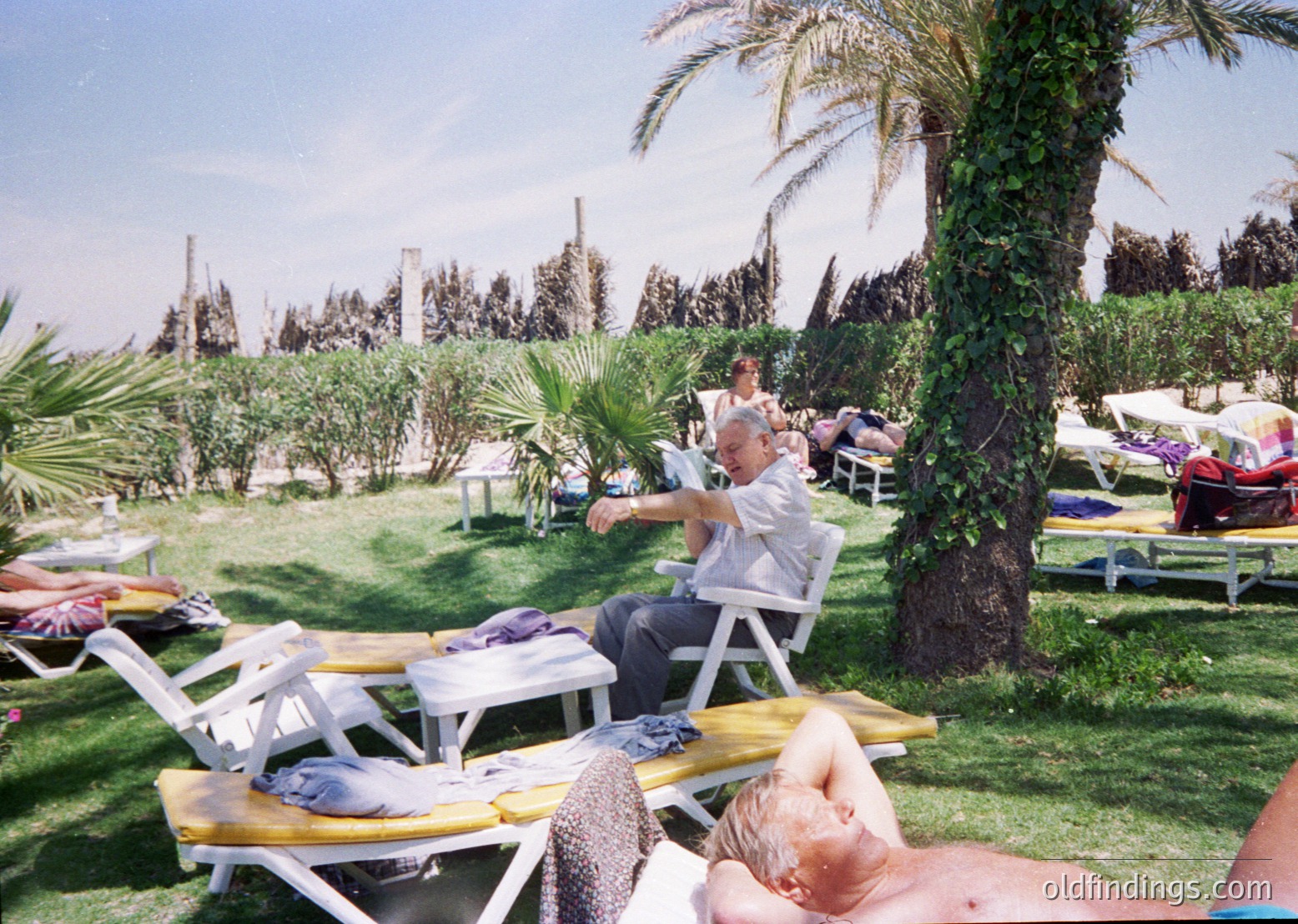 Sun-drenched resort scene with lounge chairs, palm trees, and greenery. Mid-20th century beachside relaxation with vintage deck chairs and towels. Likely Mediterranean or coastal Europe, 1960s–1980s.