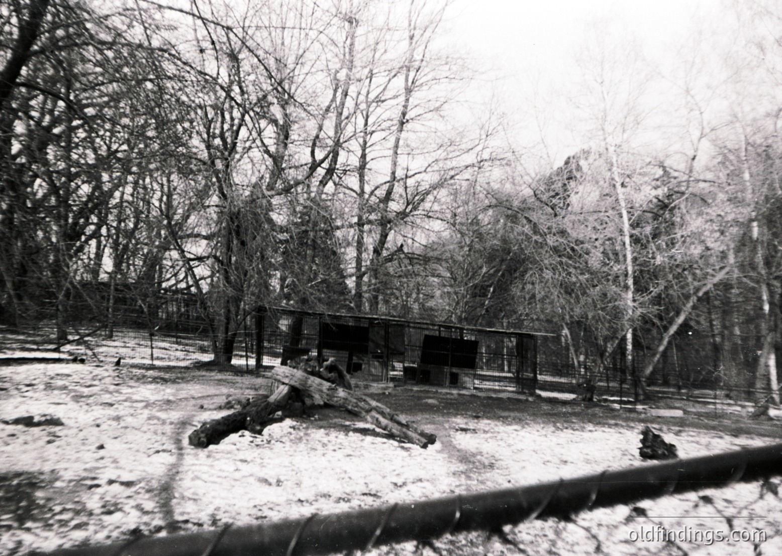 Snow-covered forest clearing with a single-story wooden structure, likely a cabin or shelter, partially obscured by leafless trees. Charred logs and debris suggest recent fire damage. Black-and-white, high-contrast monochrome style. Potential mid-20th century wilderness or survival setting.
