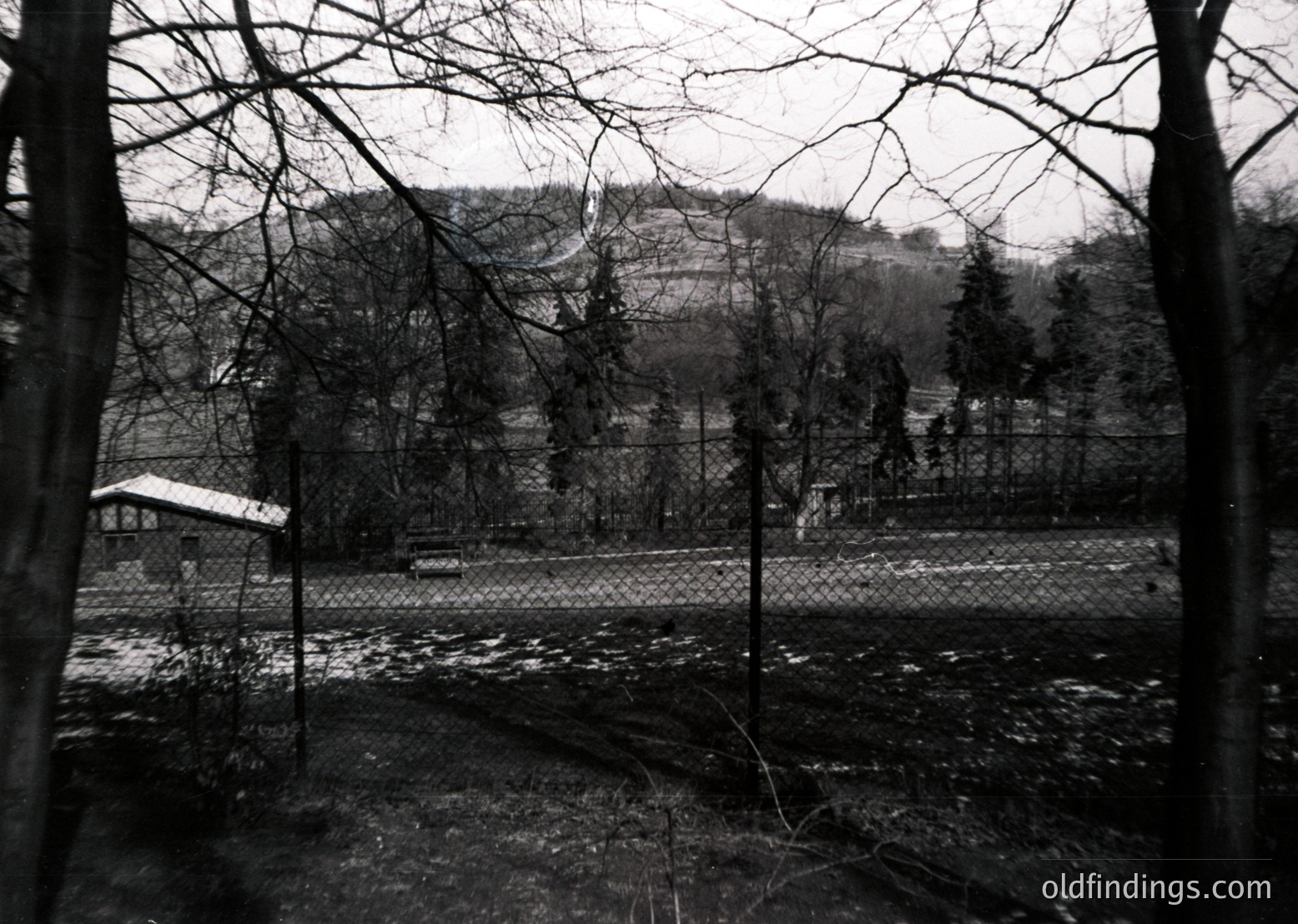 Winter landscape through leafless trees, framed by barbed wire. Snow-covered ground and distant hillside with sparse residential structures. Monochrome, high-contrast black-and-white. Evokes mid-20th century Eastern Bloc-era isolation.