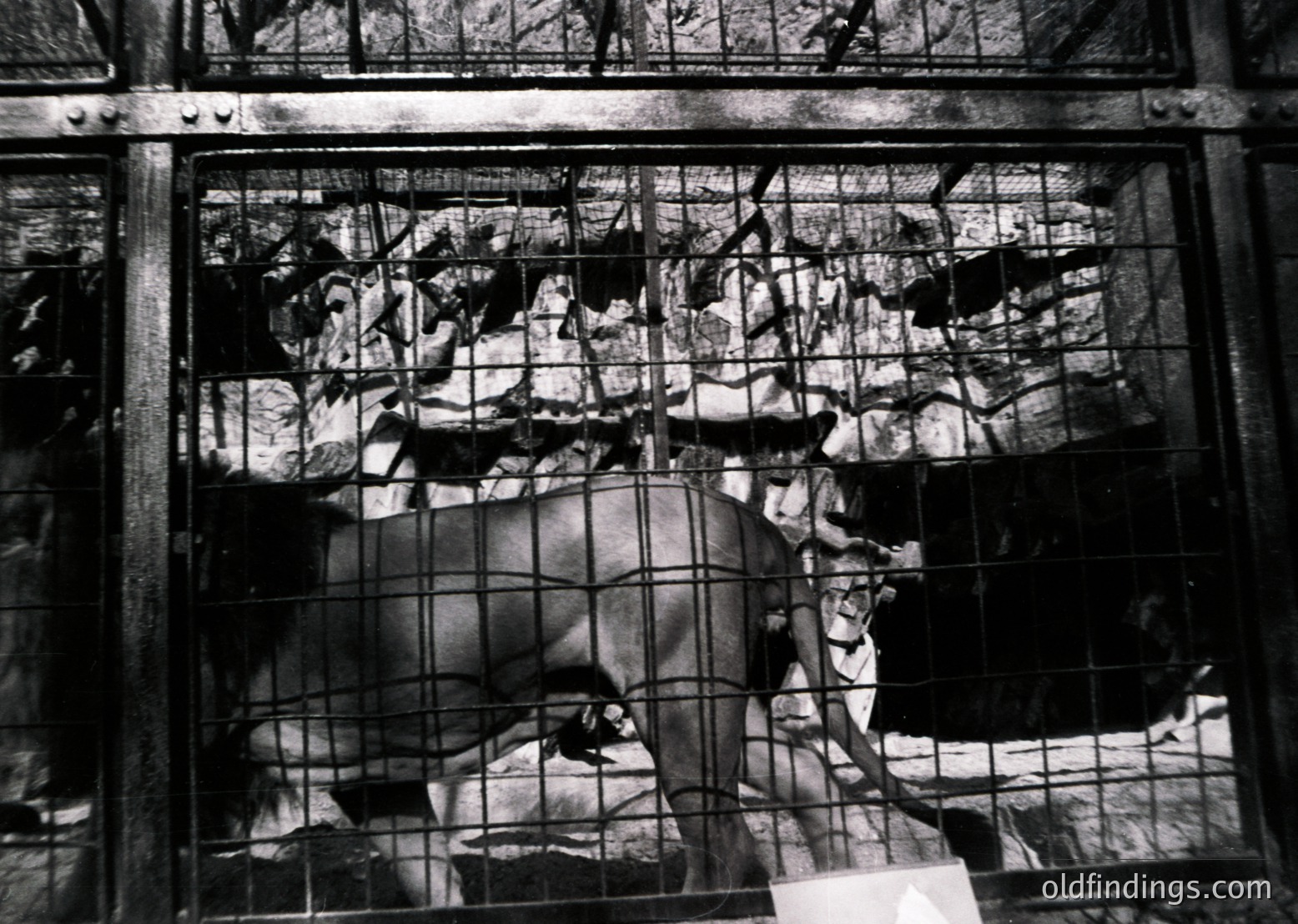 Black-and-white mural depicting a dramatic battle scene behind iron bars, likely from a 19th-century European church or cathedral. Intricate frescoes show soldiers in motion, with a central figure in a dynamic pose.