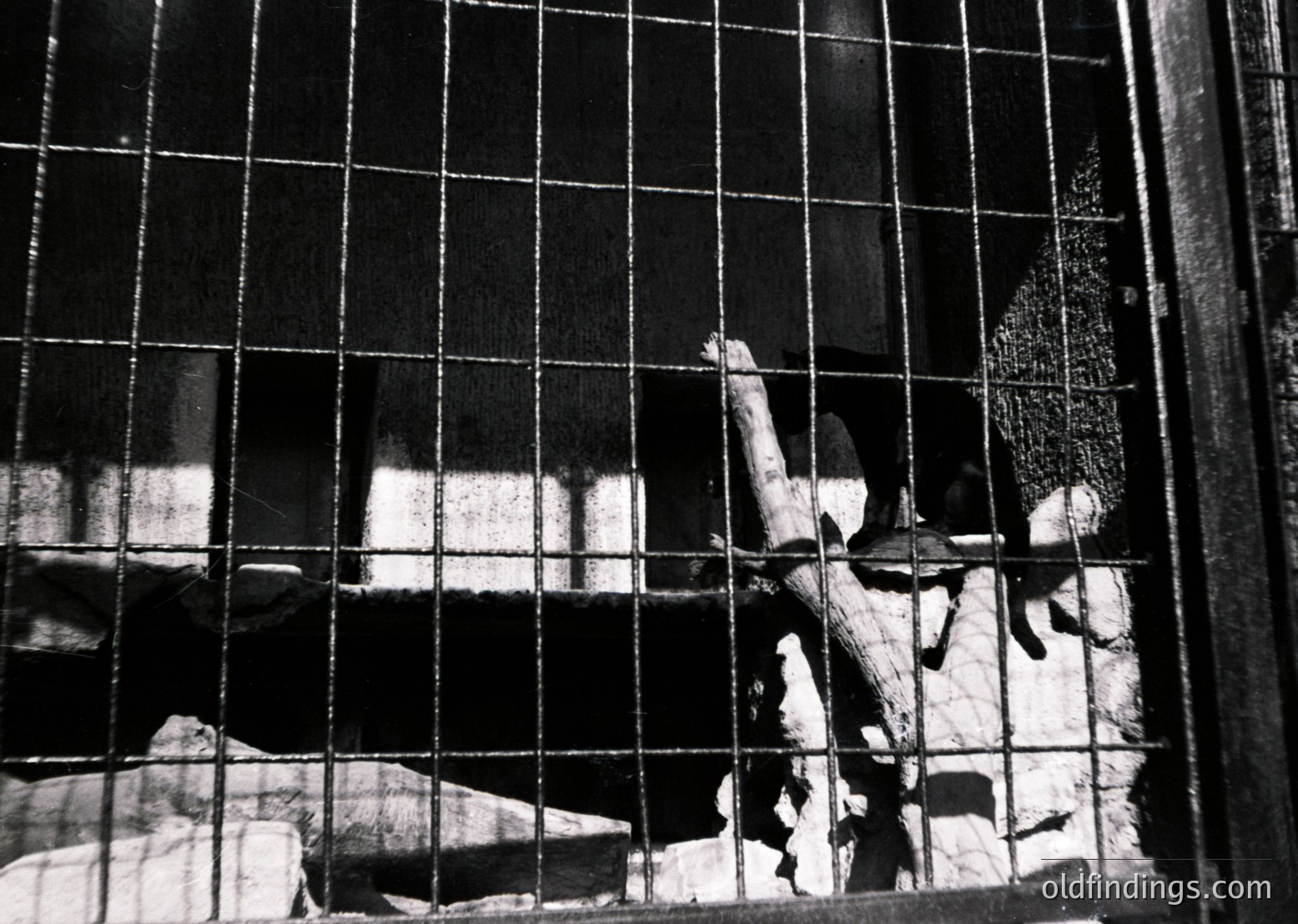 Black-and-white prison cell interior with barred window revealing dimly lit corridor. Detainee’s arm extended toward light, hand raised in gesture. Minimal furnishings: bunk bed with blanket, small table. Architectural details: concrete walls, metal grid window. Likely Eastern Bloc detention facility, mid-20th century.