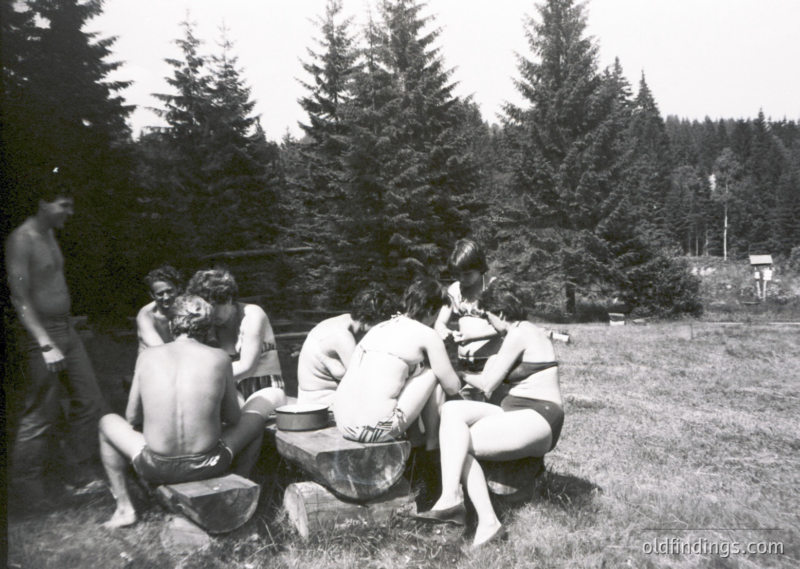 Group of six people in 1960s-70s outdoor setting, seated around a large metal drum. Four women in swimsuits, two men shirtless, posing casually in wooded area with coniferous trees. Likely a recreational or communal gathering.
