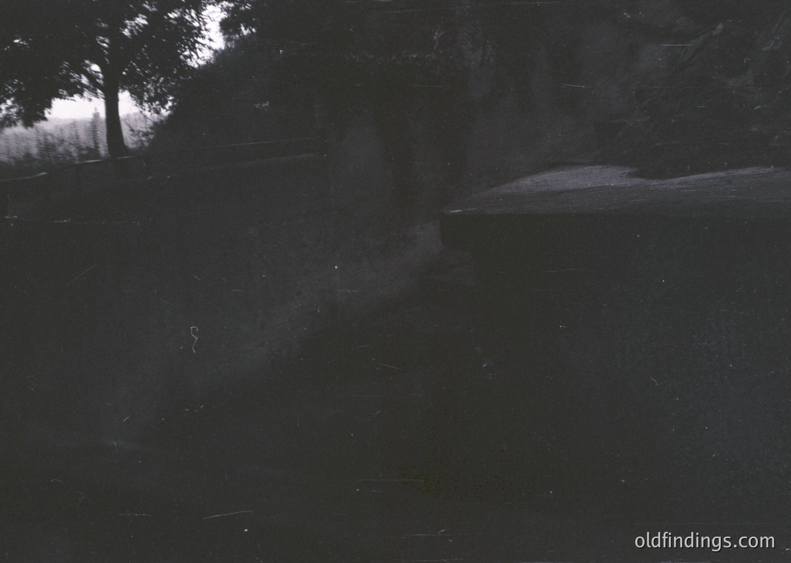 Vintage black-and-white photo of a dimly lit interior with faint silhouettes. A single figure stands near a window, backlit by natural light revealing tree branches. Possible 1950s–1970s residential or office setting.