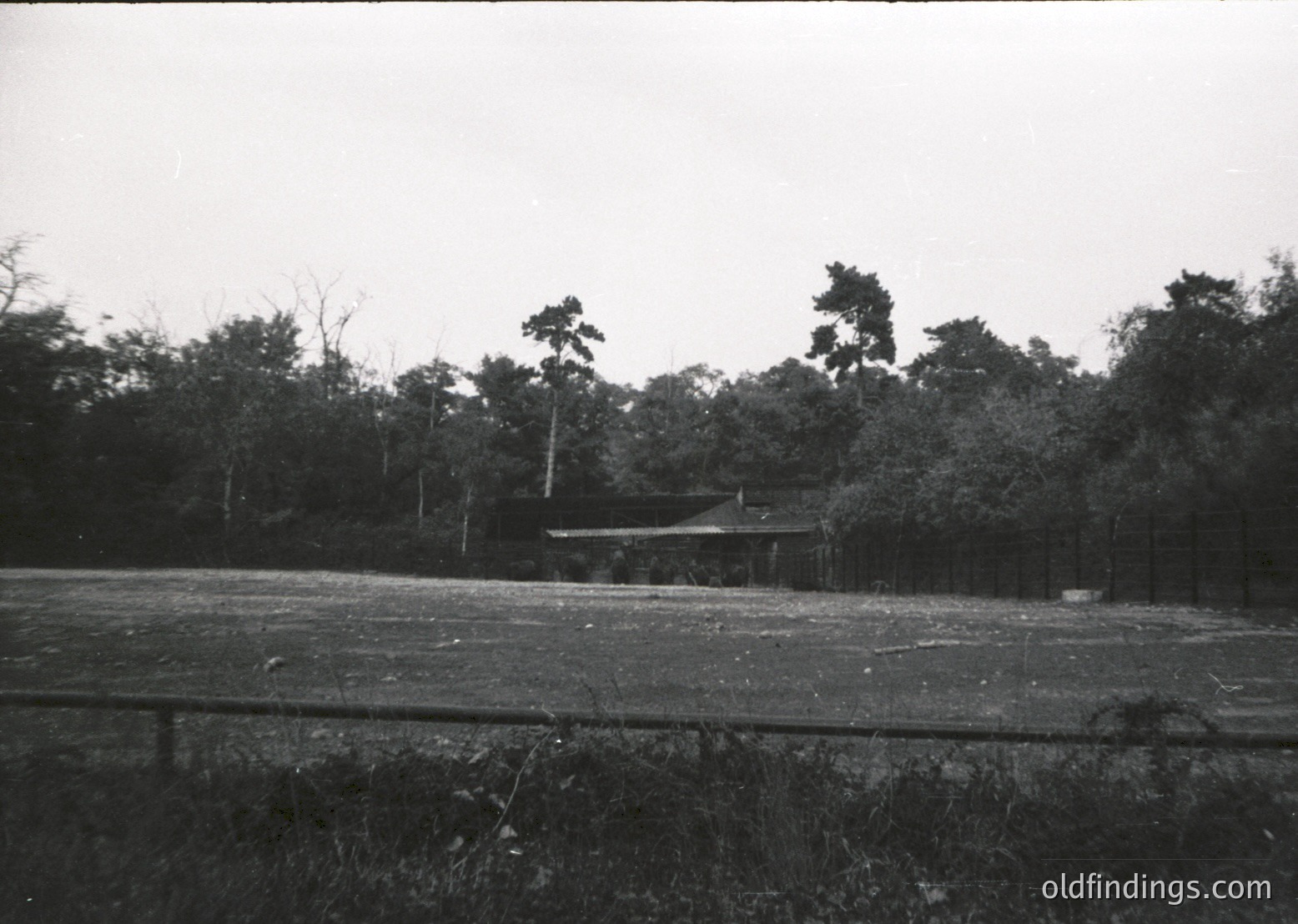 Black-and-white rural scene featuring a modest wooden structure surrounded by dense forest. Open field with sparse vegetation and a wooden fence in foreground. Likely mid-20th century agricultural or residential setting.